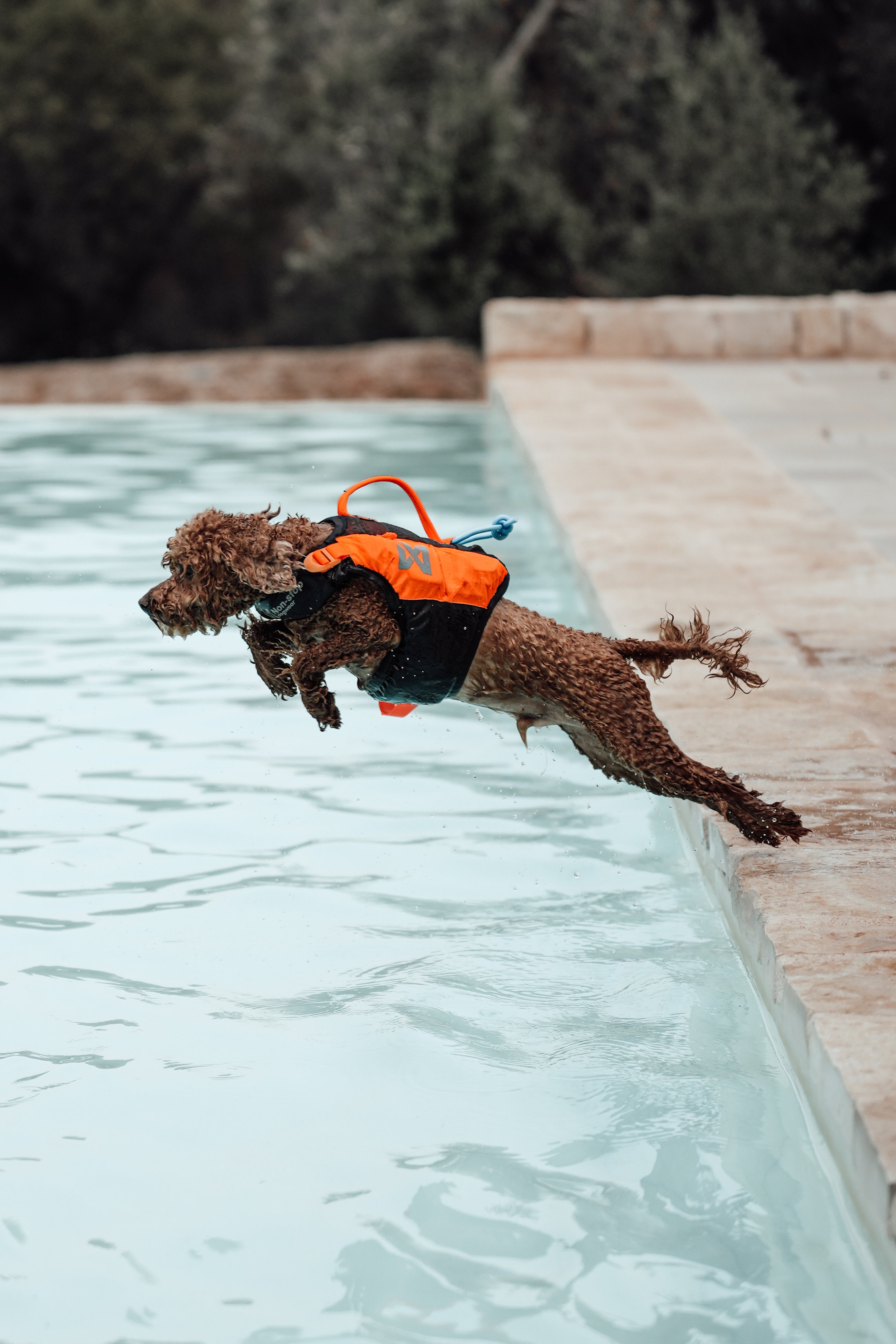 Non-Stop Dogwear Protector Life Jacket Orange Black Hundeschwimmweste Schwimmweste für Hunde Hunderettungsweste