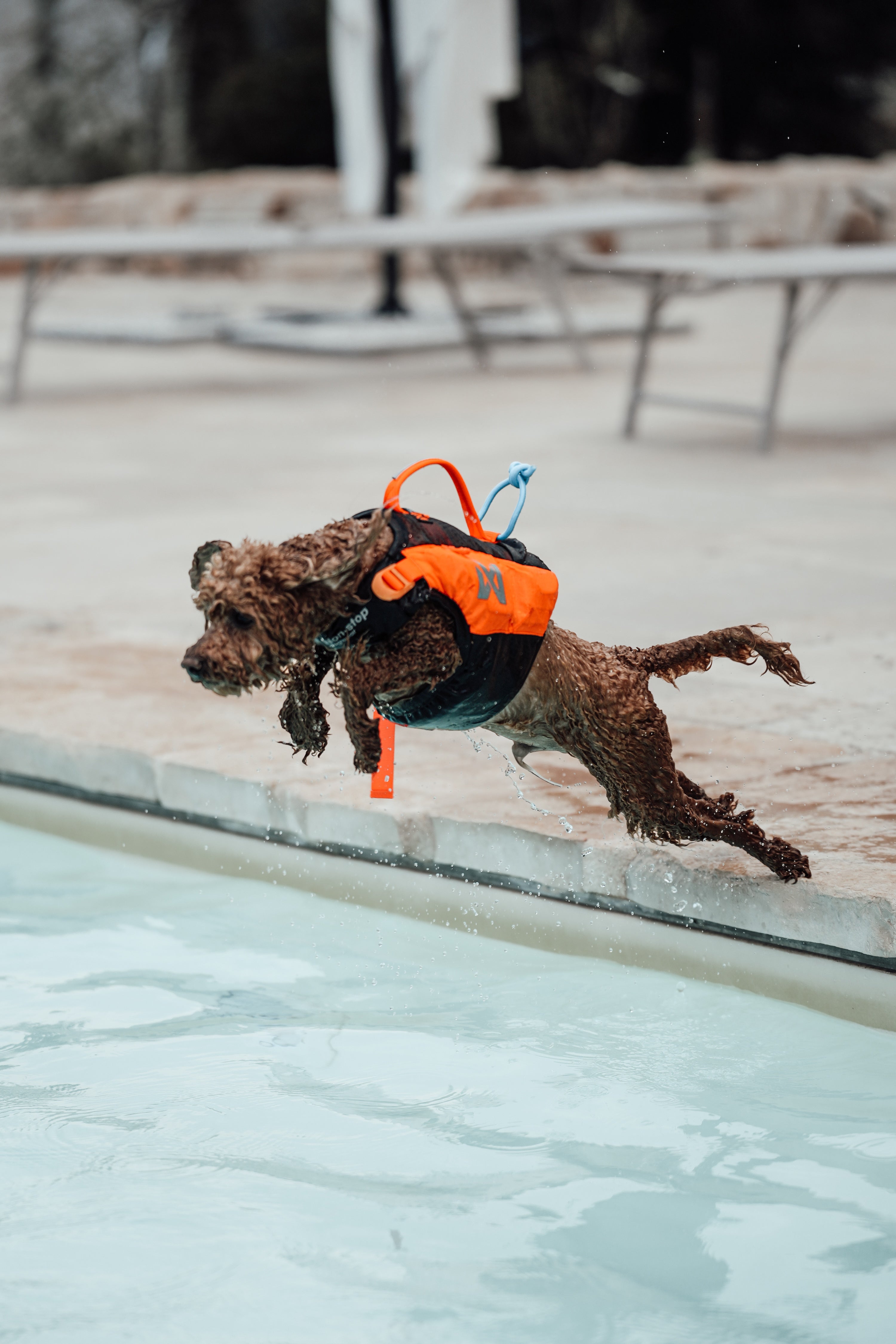 Non-Stop Dogwear Protector Life Jacket Orange Black Hundeschwimmweste Schwimmweste für Hunde Rettungsweste für Hund