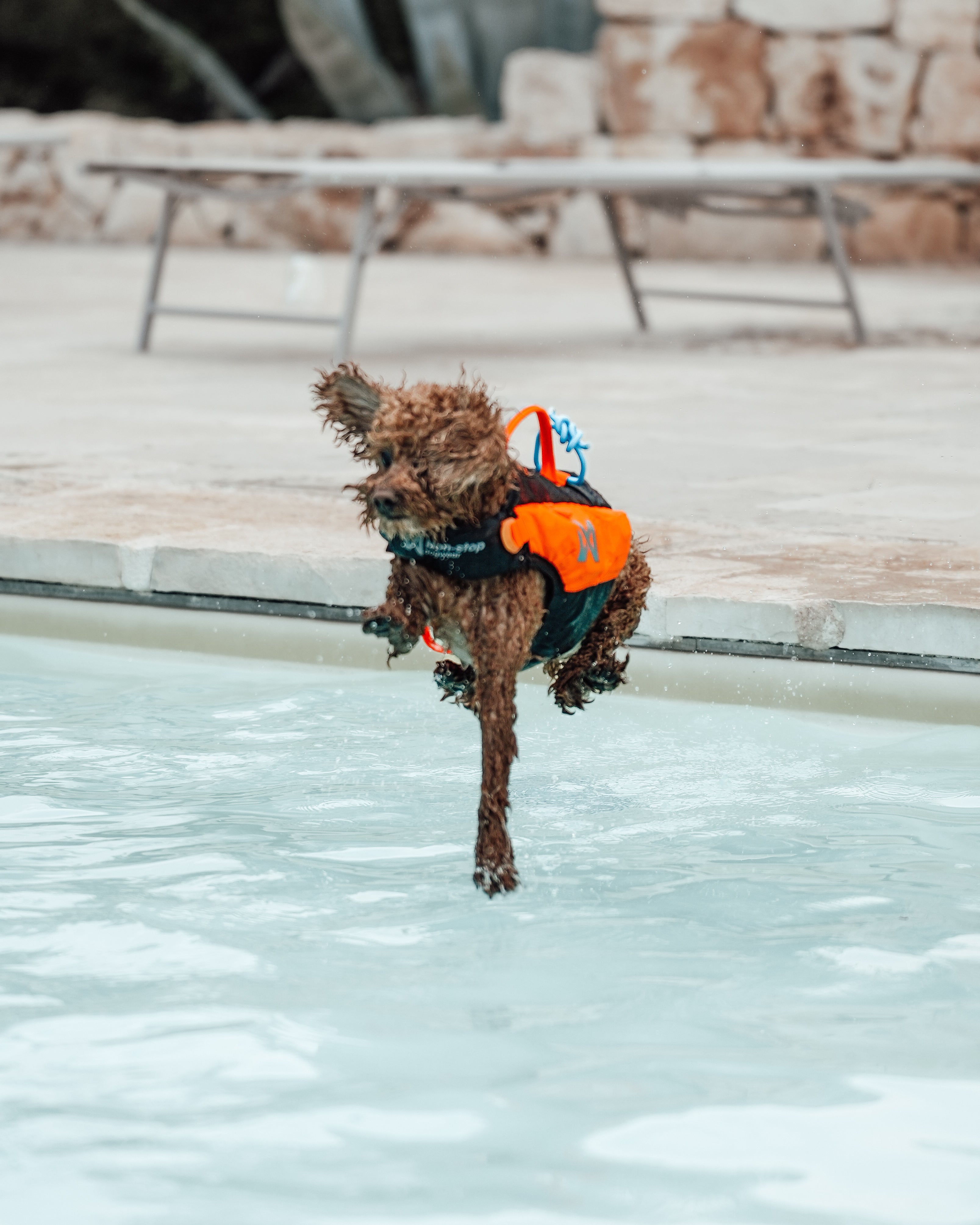 Non-Stop Dogwear Protector Life Jacket Orange Black Schwimmweste für Hunde Schwimmen mit Hund