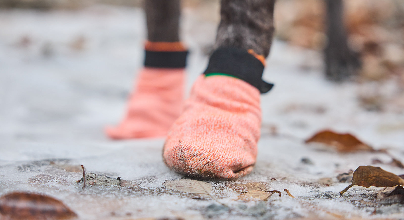 Non-Stop Dogwear Protector Light Socks Hundesocken mit Klett