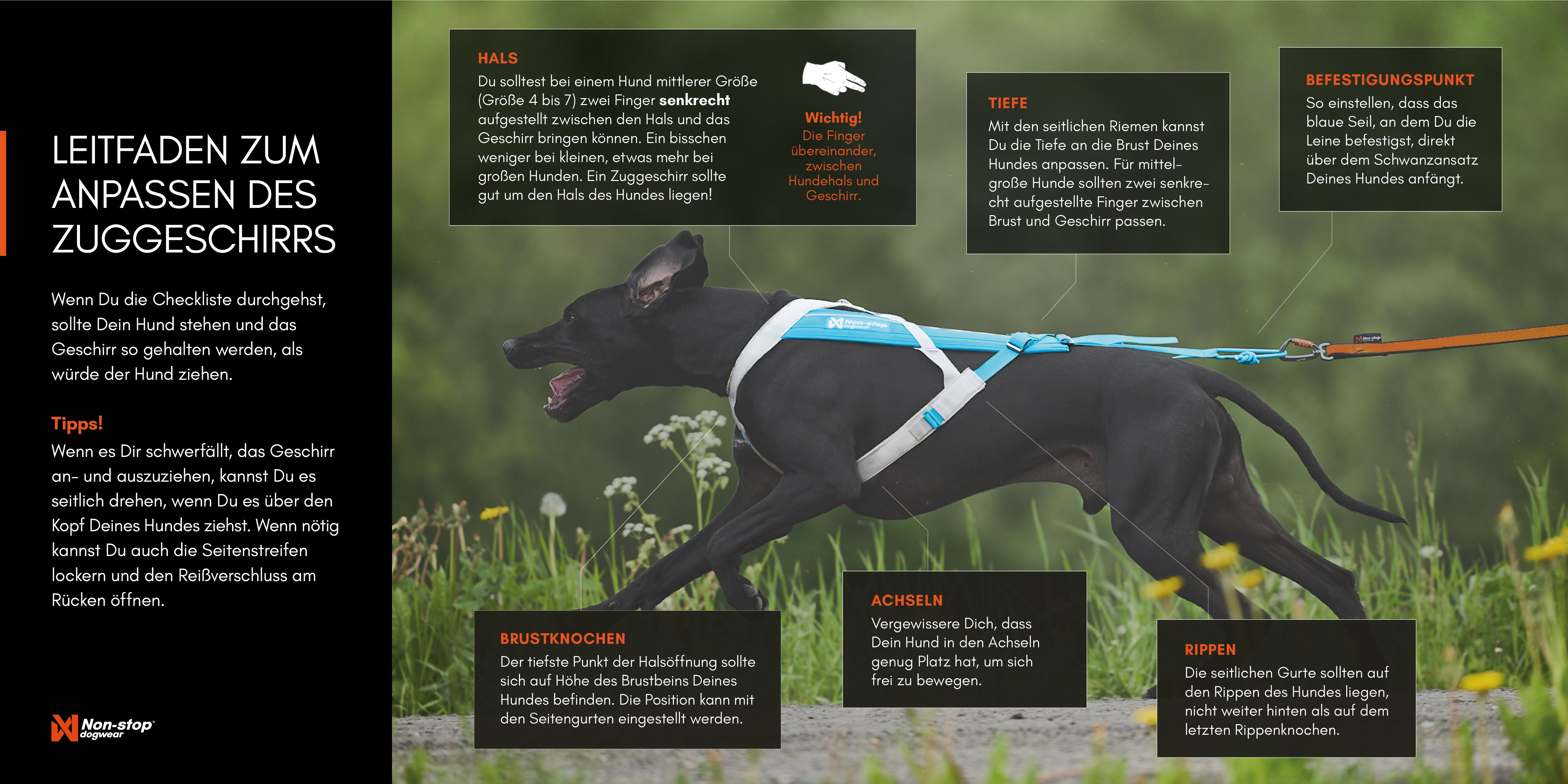 Non Stop Dogwear Leitfaden zum Anpassen eines Zuggeschirrs