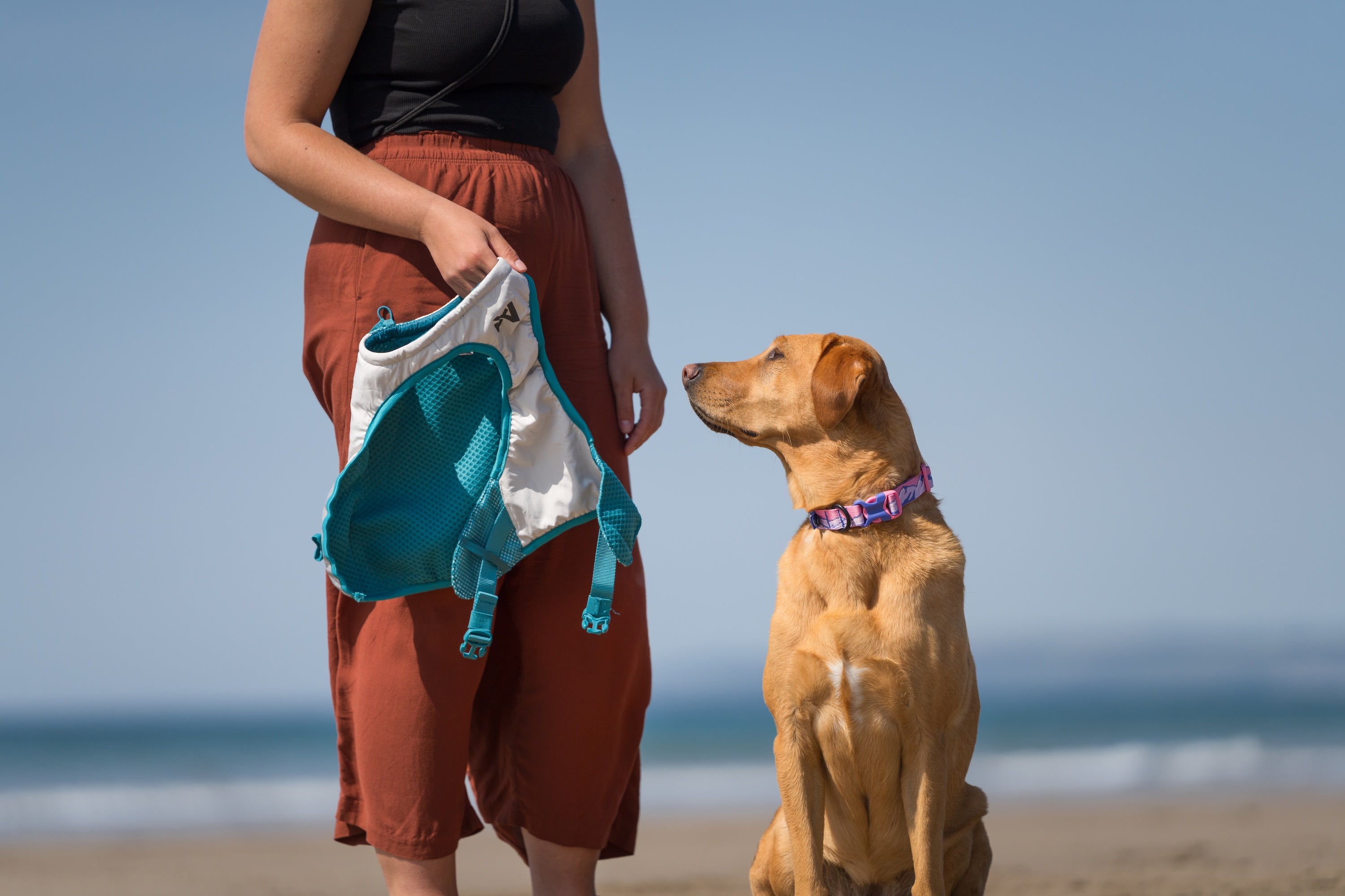 Non-stop dogwear® Cooling Vest Light Gray / Teal Kühlmatte Hunde Hitzeschutz für Hunde