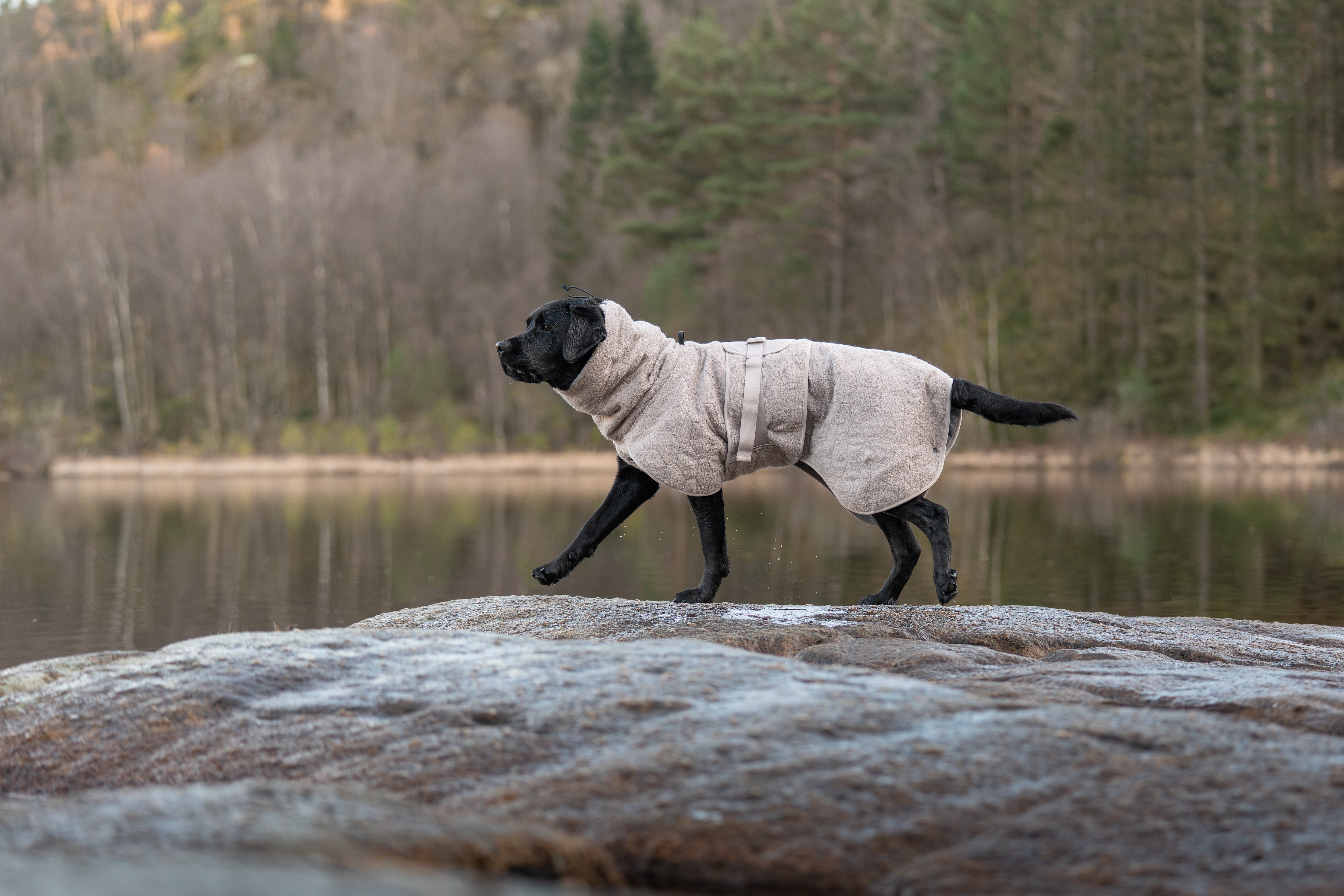 Non-stop dogwear® Drying Coat Bademantel Hund Frottee