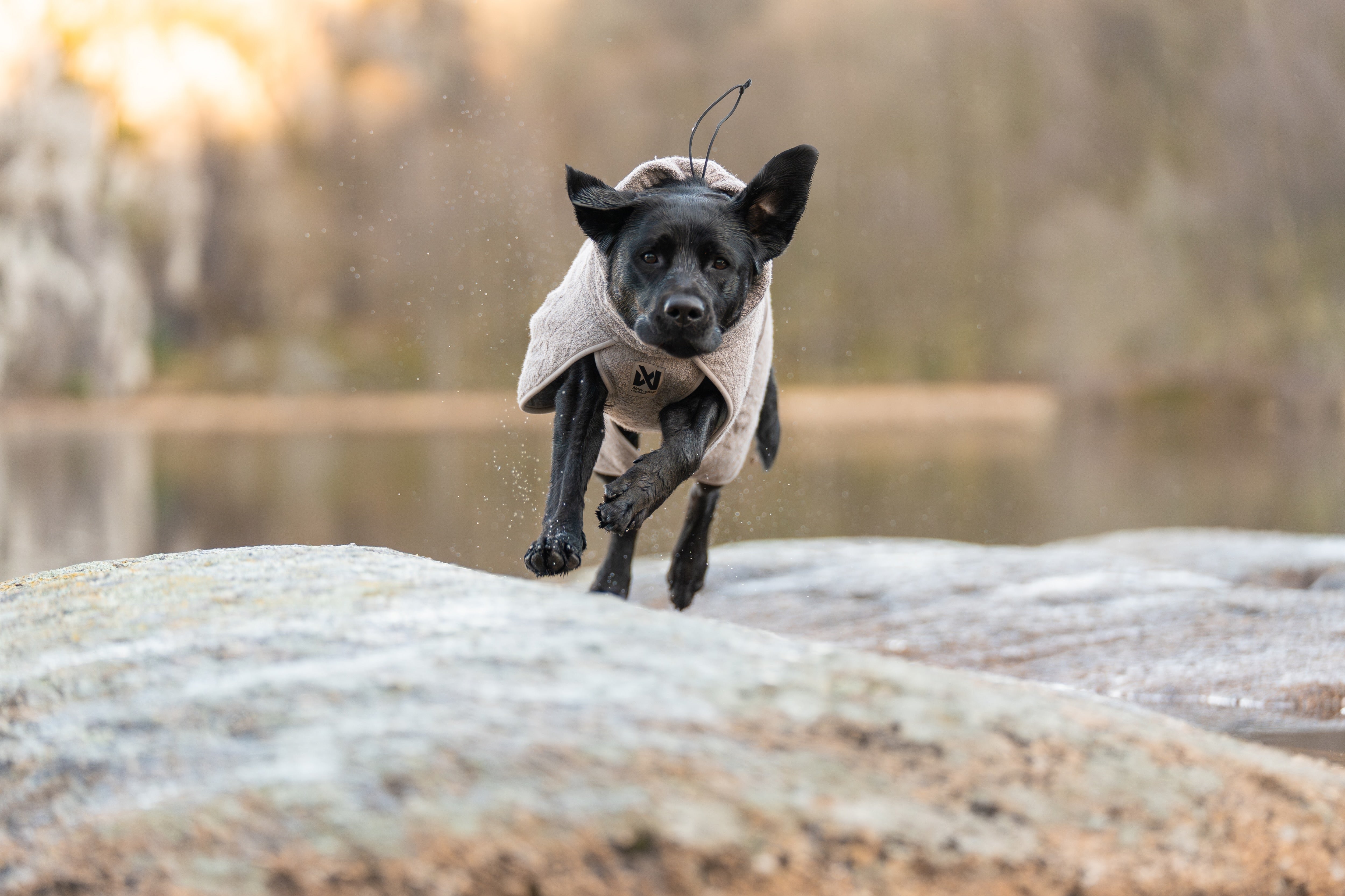 Non-stop dogwear® Drying Coat Bademantel Hund Sport mit Hund