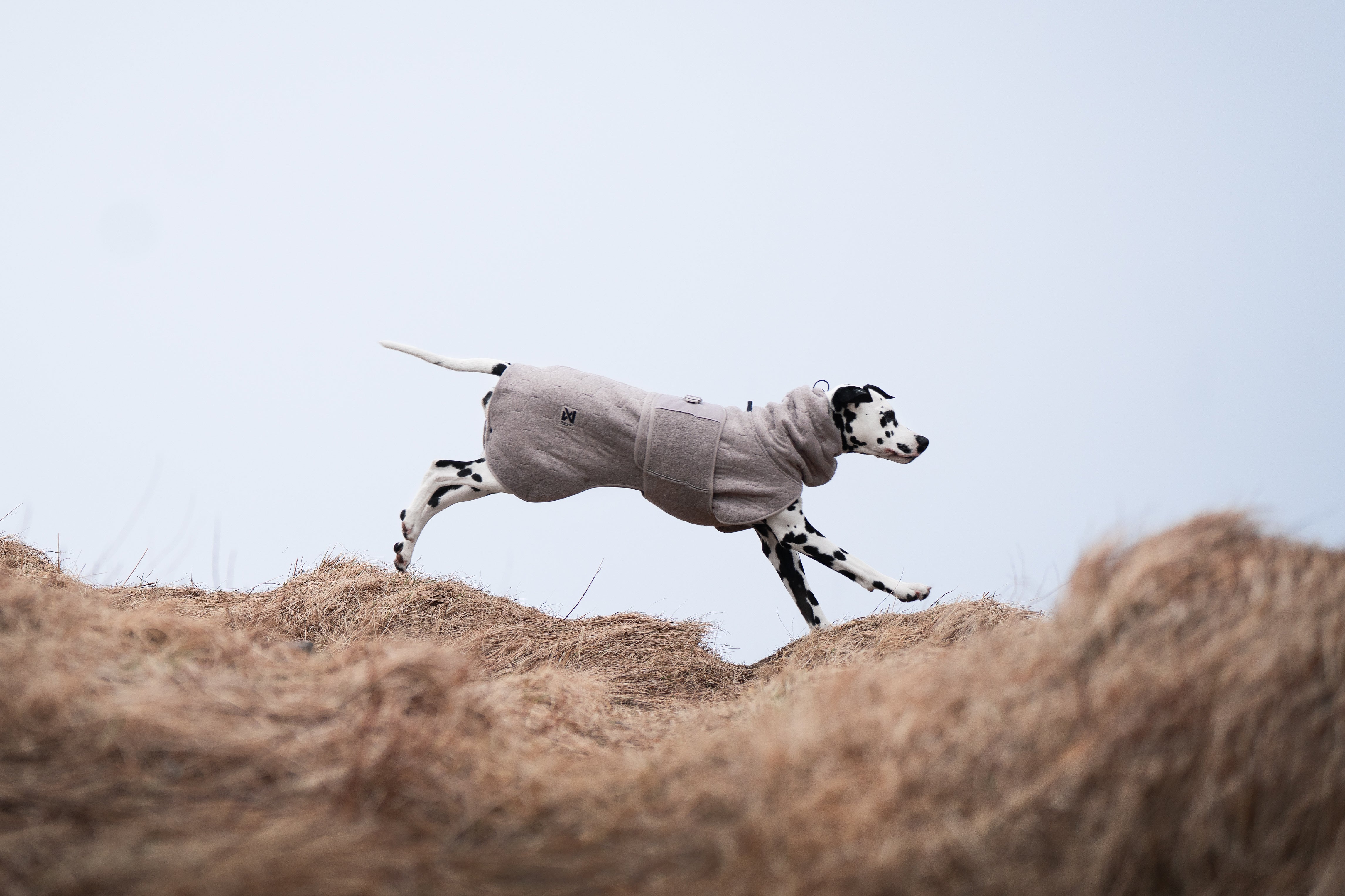 Non-stop dogwear® Drying Coat Handtuch für Hunde Frottee