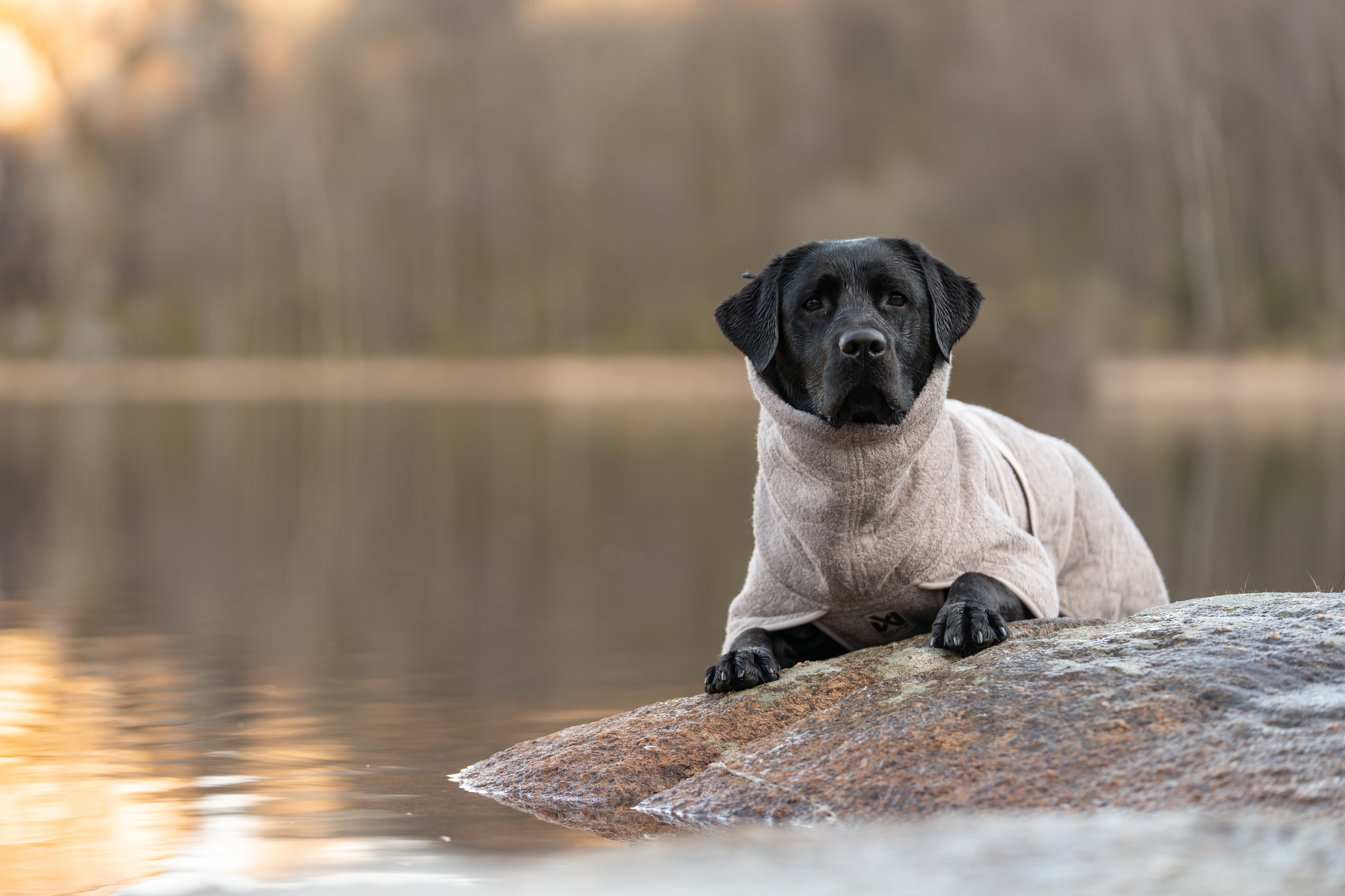 Non-stop dogwear® Drying Coat Hundebademantel Frottee