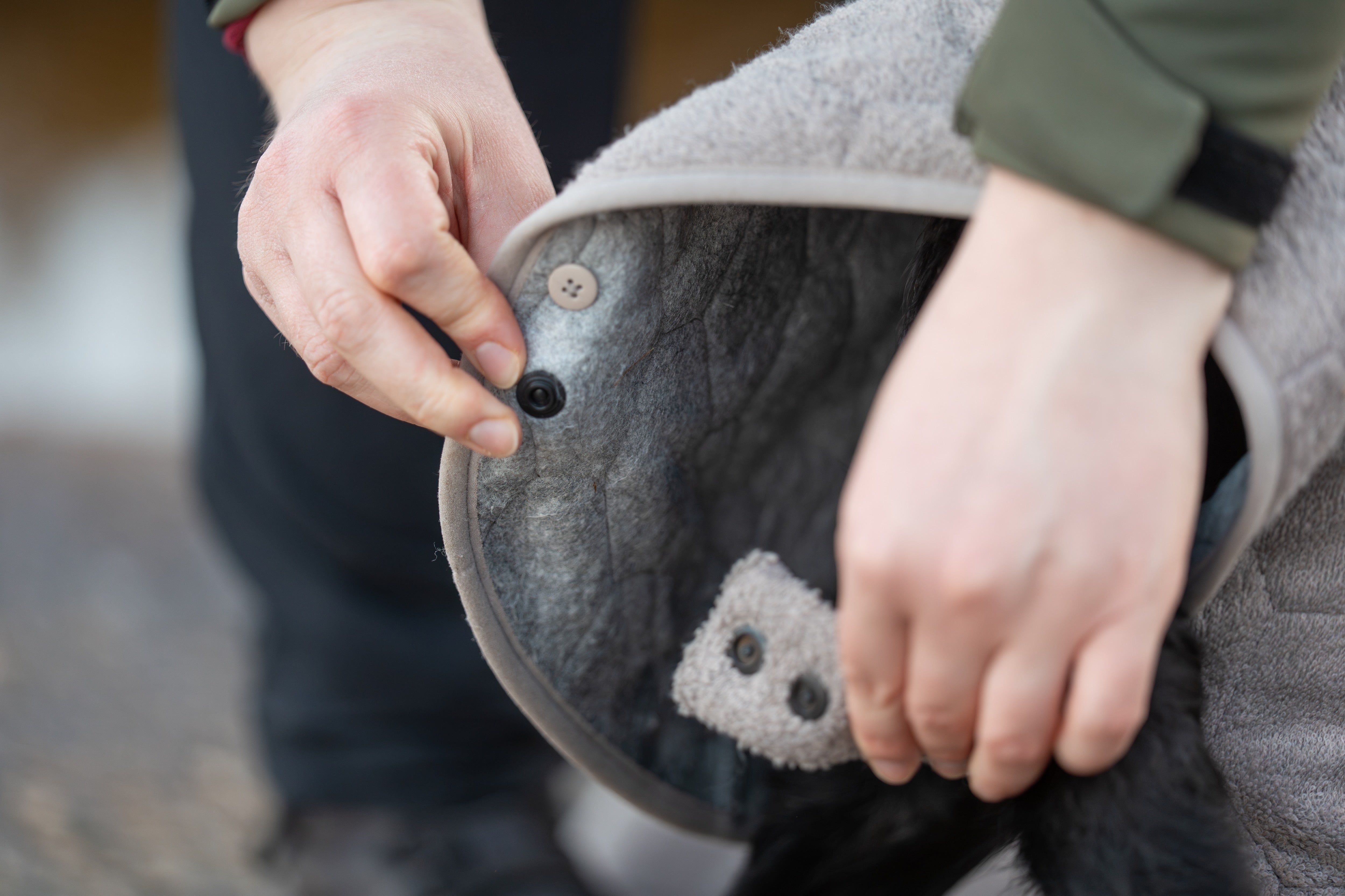Non-stop dogwear® Drying Coat Hundebademantel Frottee Reisen mit Hund