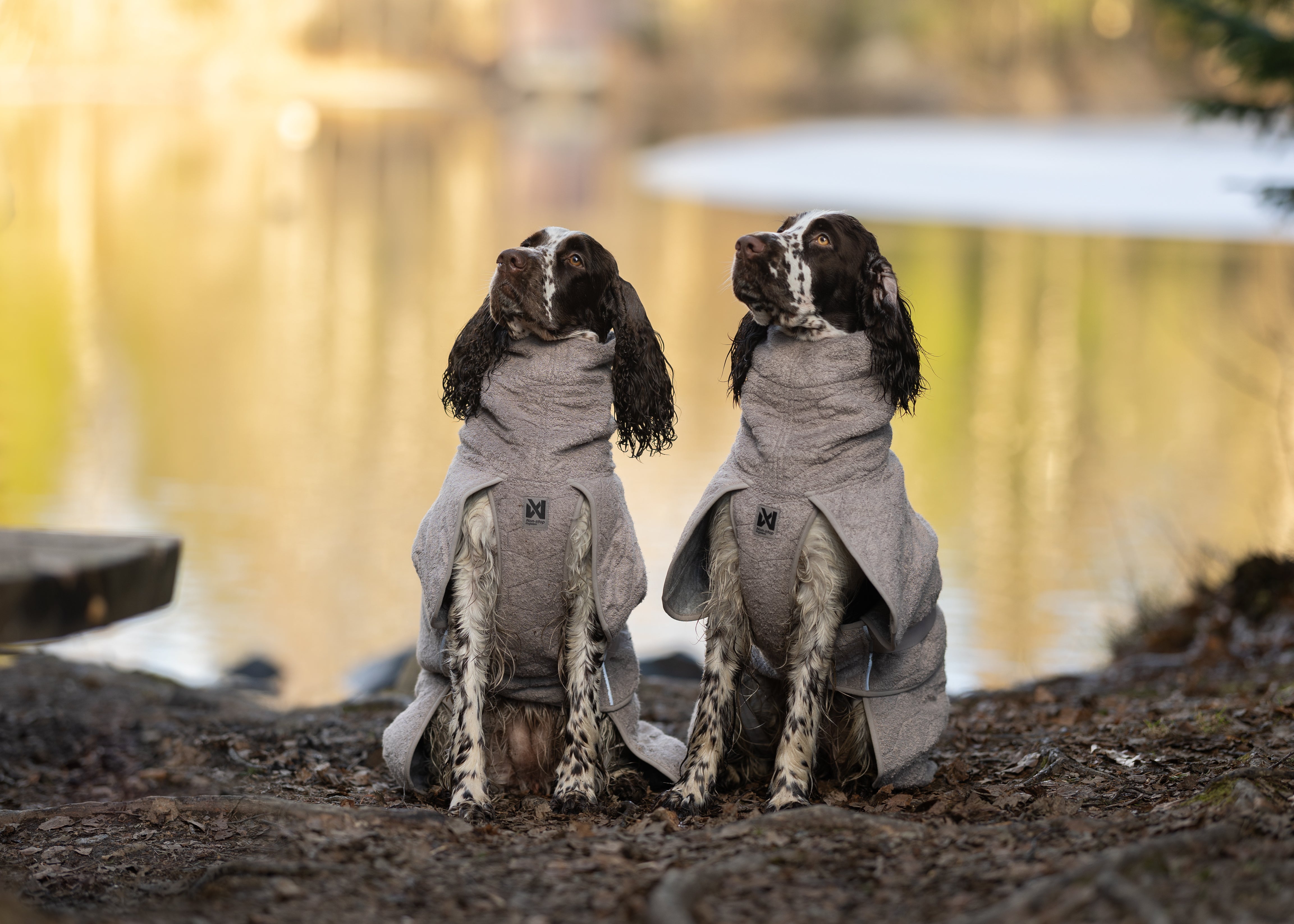 Non-stop dogwear® Drying Coat Hundebademantel Bademantel Hund