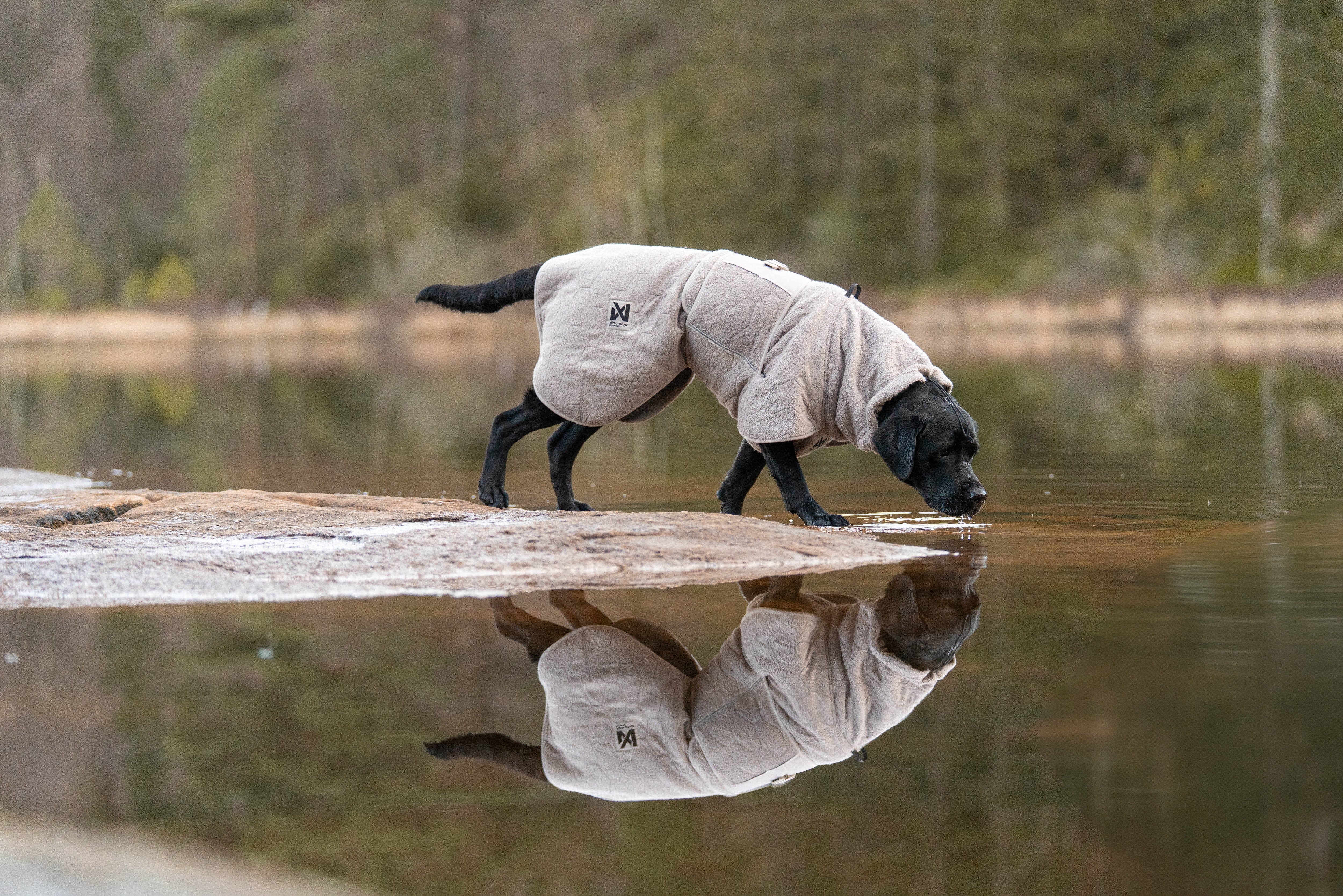 Non-stop dogwear® Drying Coat Hundebademantel Equipment Sport mit Hund