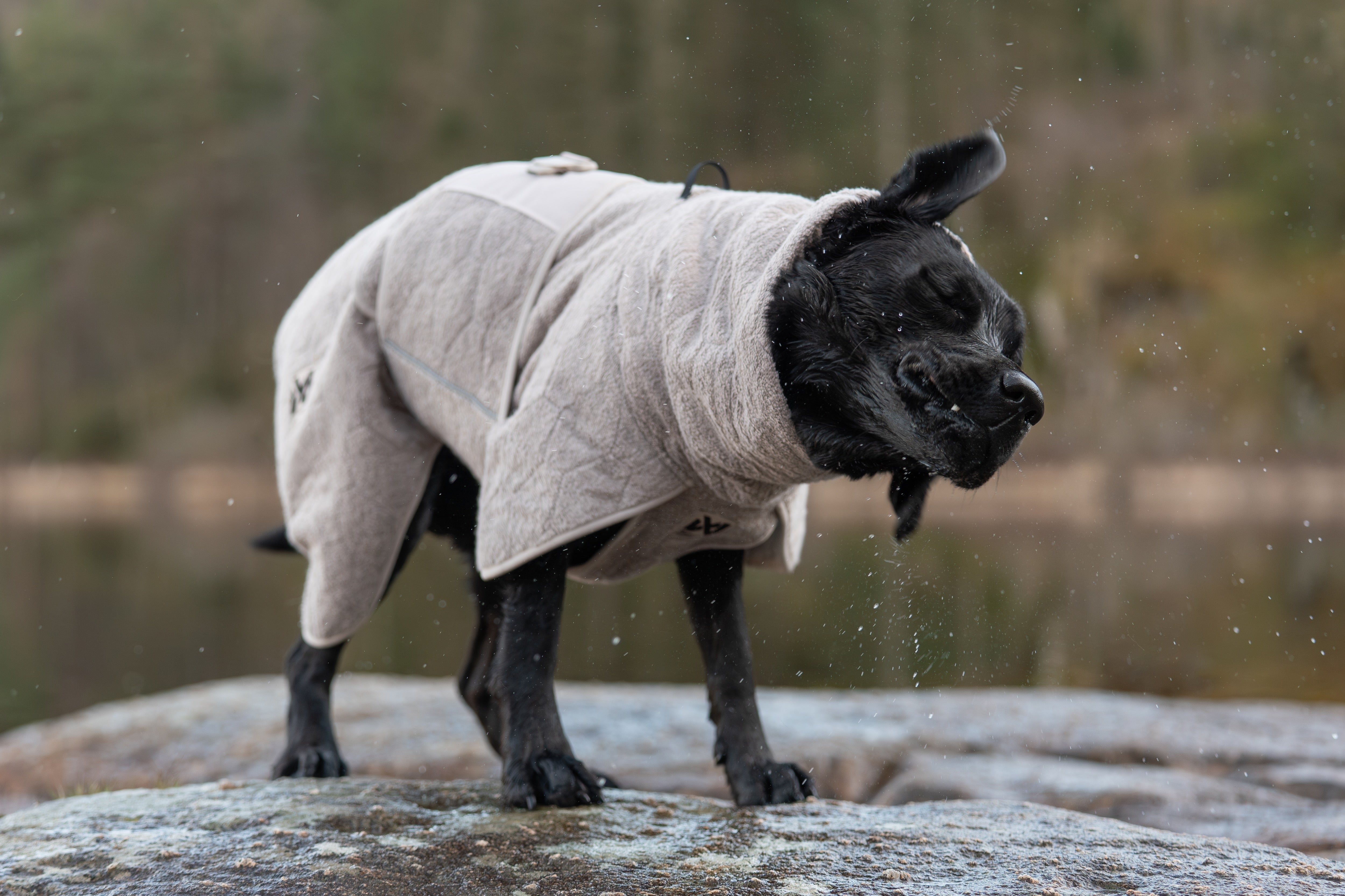 Non-stop dogwear® Drying Coat Hundebademantel Handtuch für Hunde