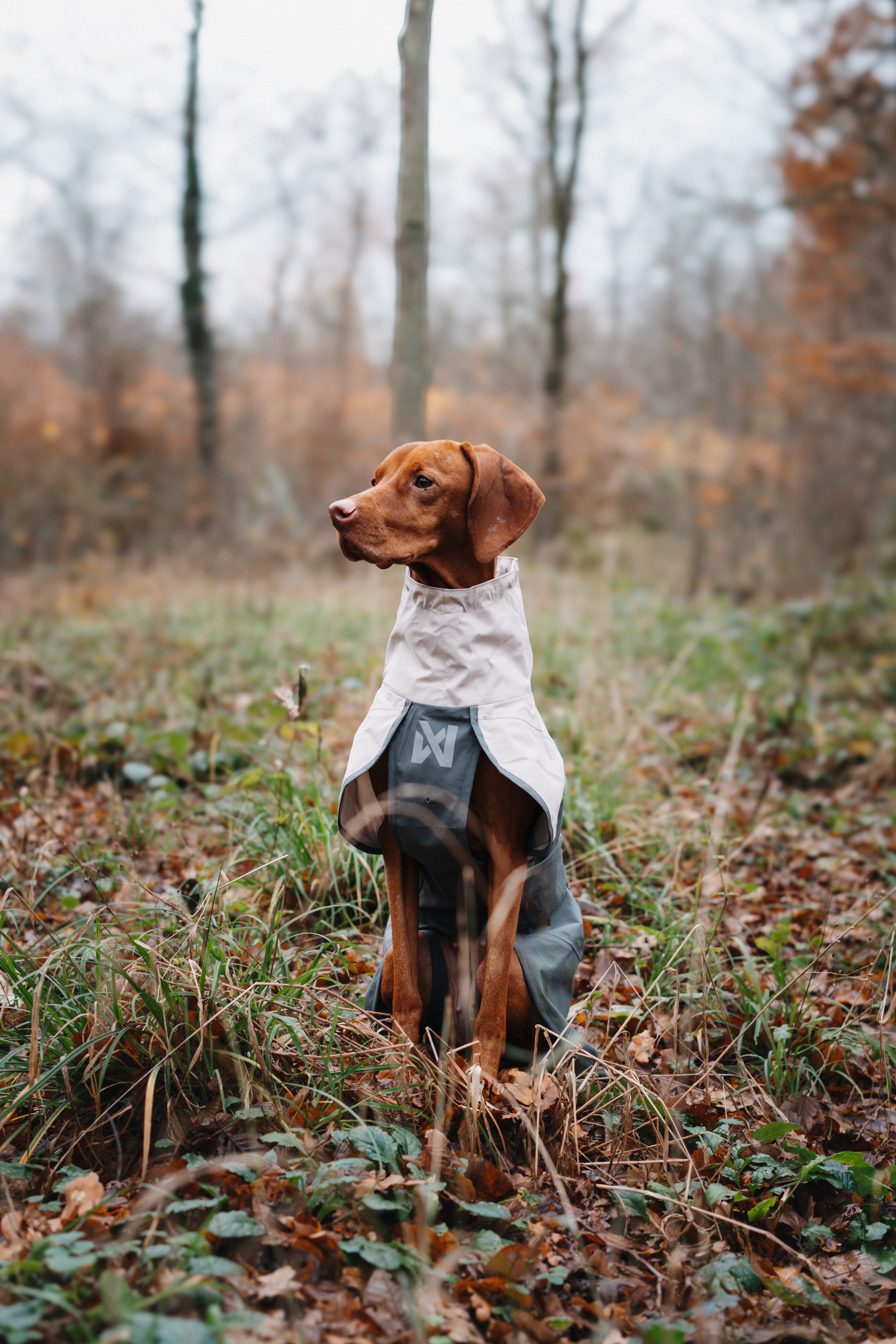 Non-stop dogwear® Fjord Raincoat 2.0 Grey Hunderegenmantel wasserdicht wasserabweisend