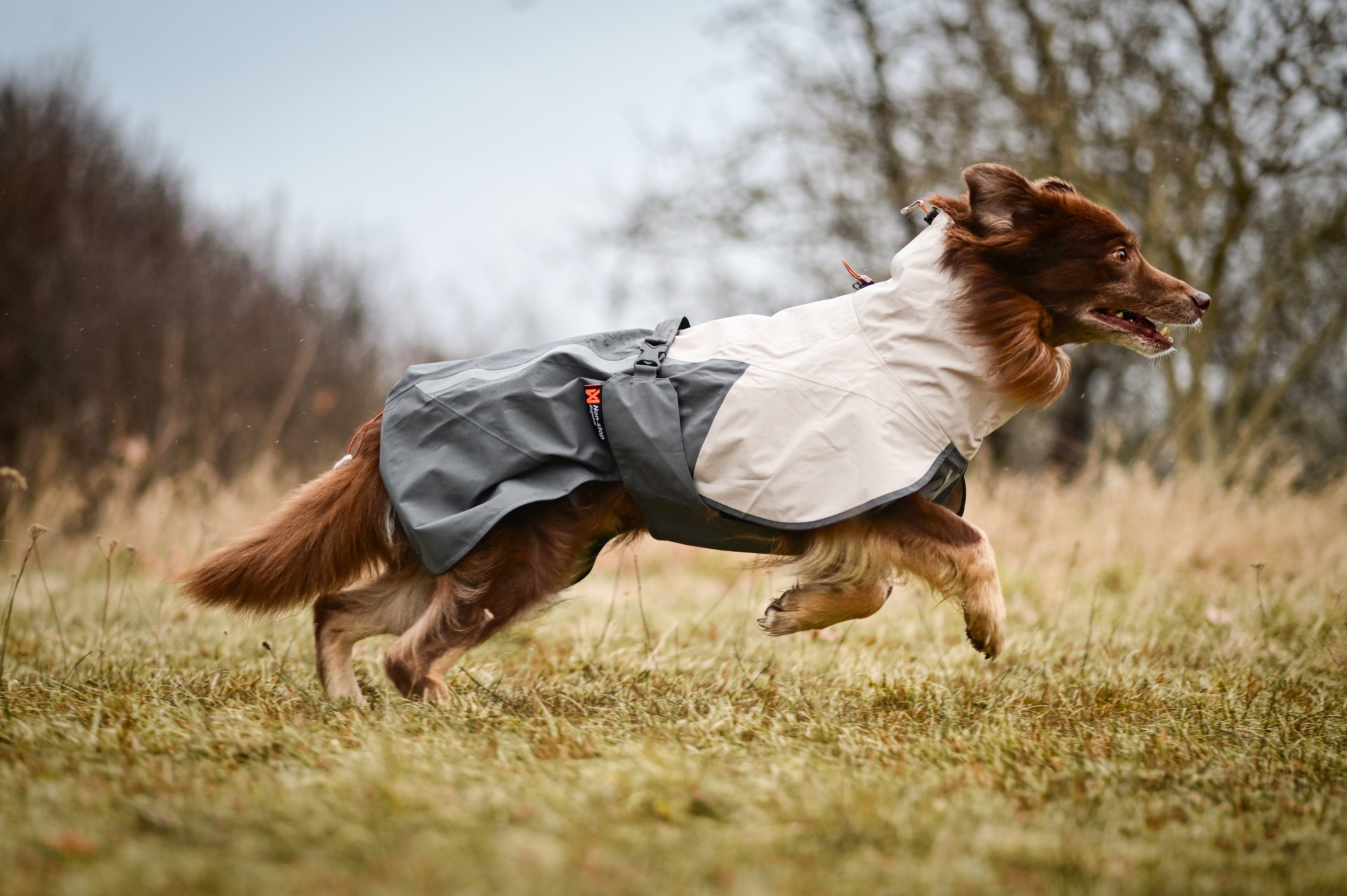 Non-stop dogwear® Fjord Raincoat 2.0 Grey Mantel für Hunde wasserabweisend