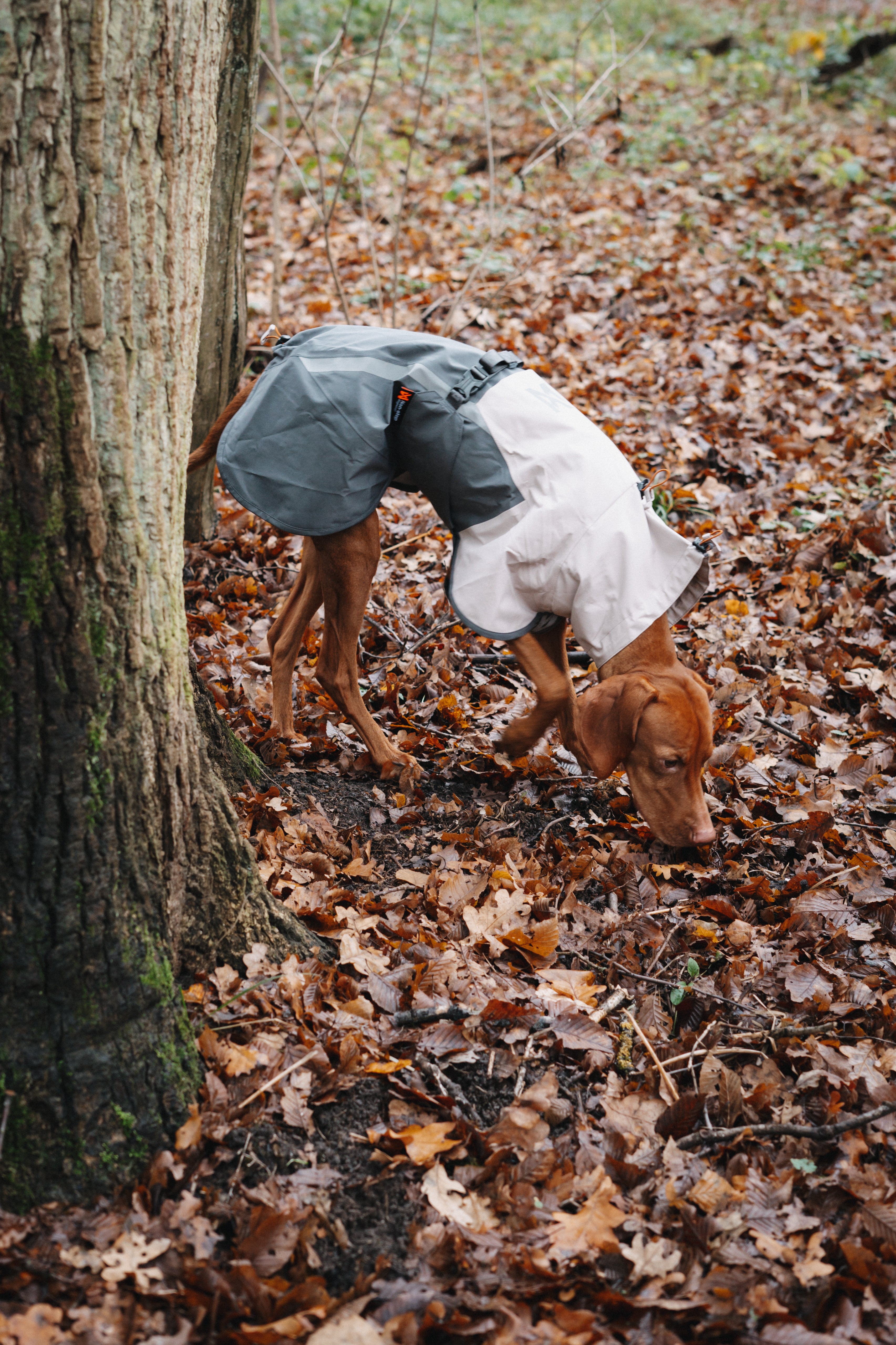 Non-stop dogwear® Fjord Raincoat 2.0 Grey