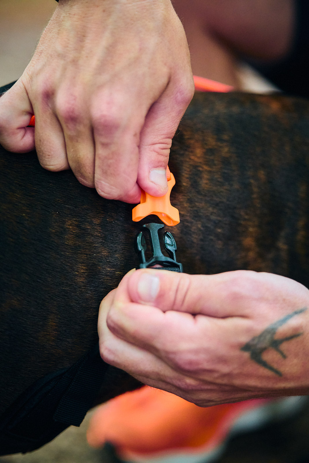 Non-stop dogwear® Rush Harness Orange Zuggeschirr