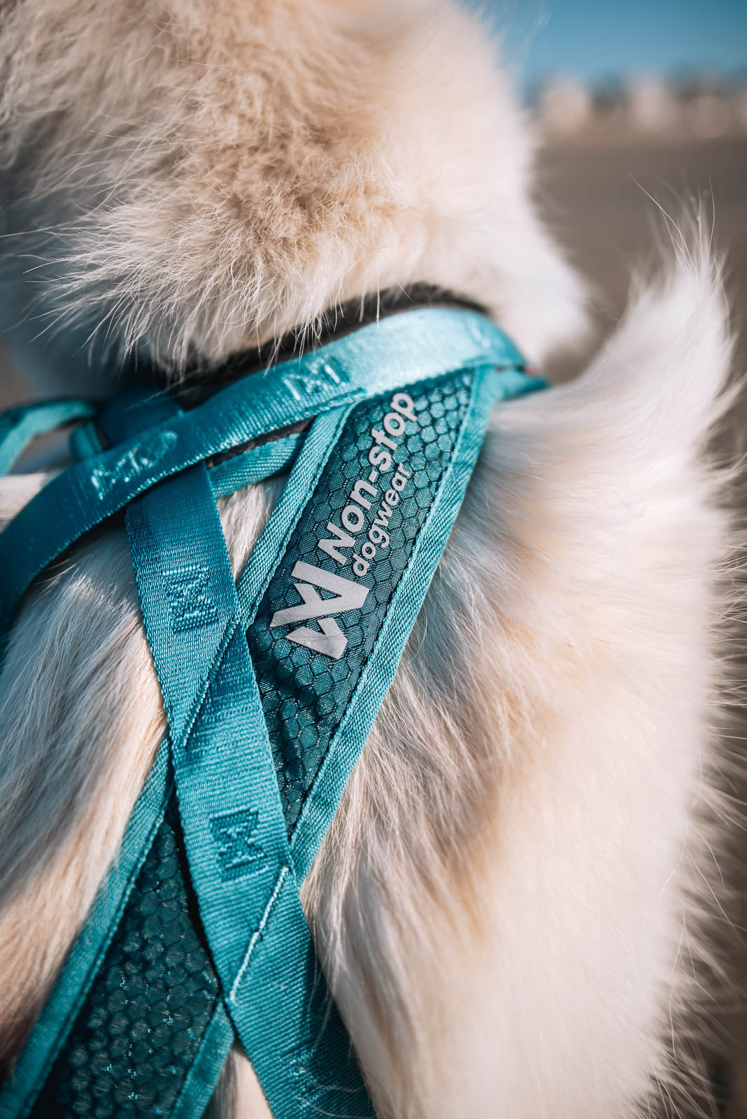 Non-stop dogwear® Rush Harness Teal Geschirr Zughundesport