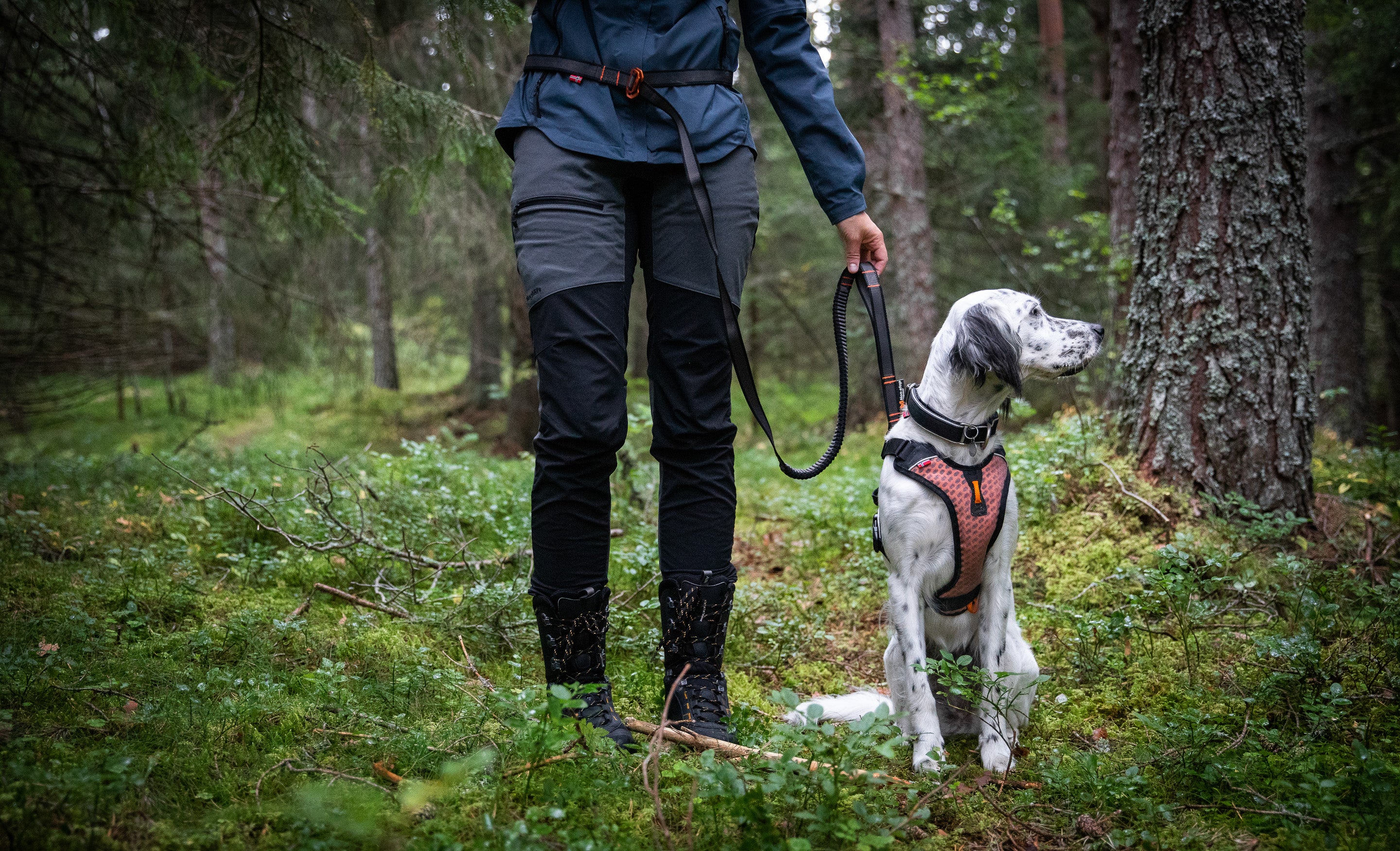Non-stop dogwear® Touring Bungee Adjustable Hundeleine Zughundesport