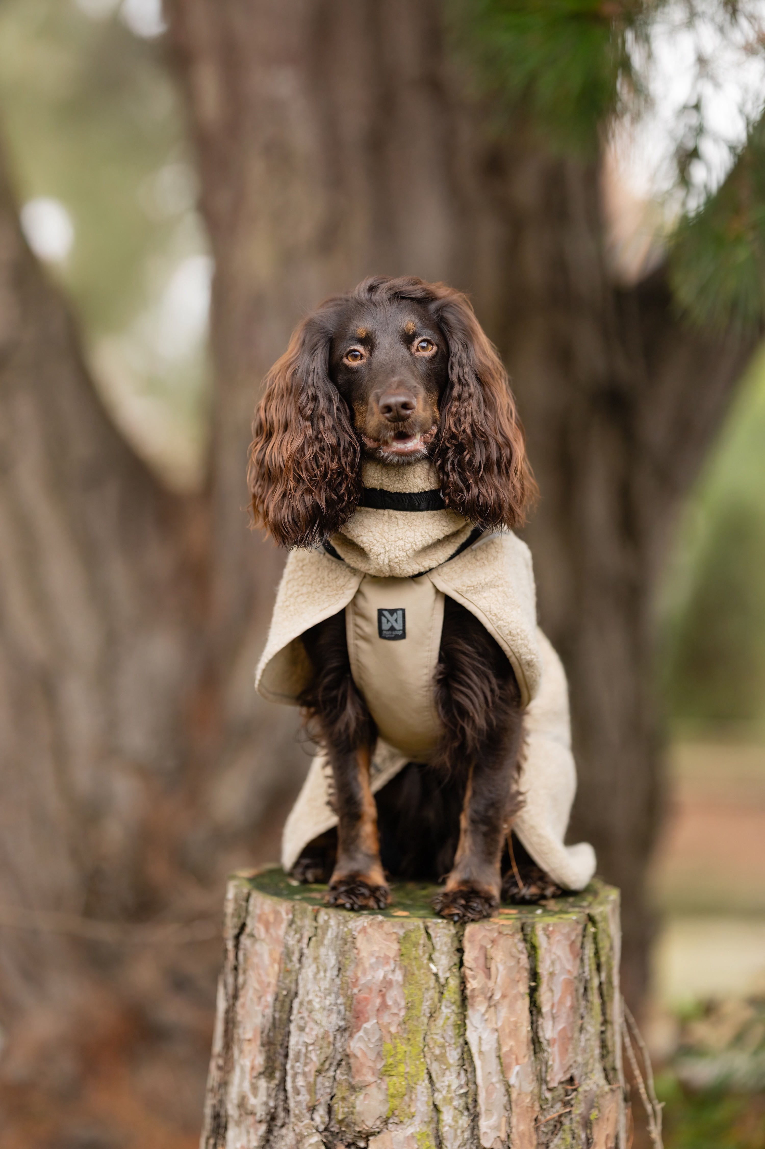 Non-stop dogwear® Wool Dog Jacket Sand Hundemantel Wolle