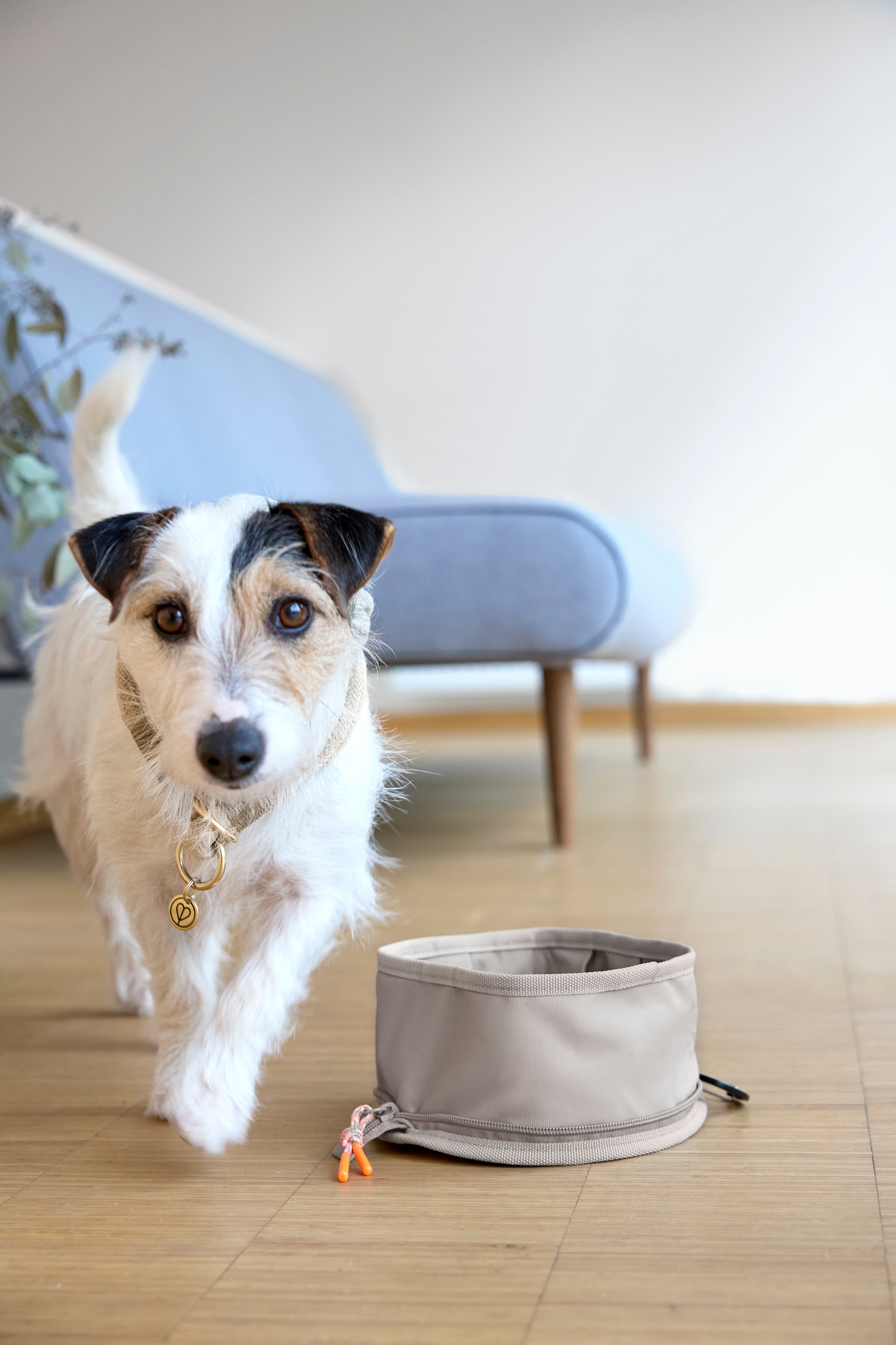 Dog Bowl To Go Tura Taupe Hundenapf faltbar