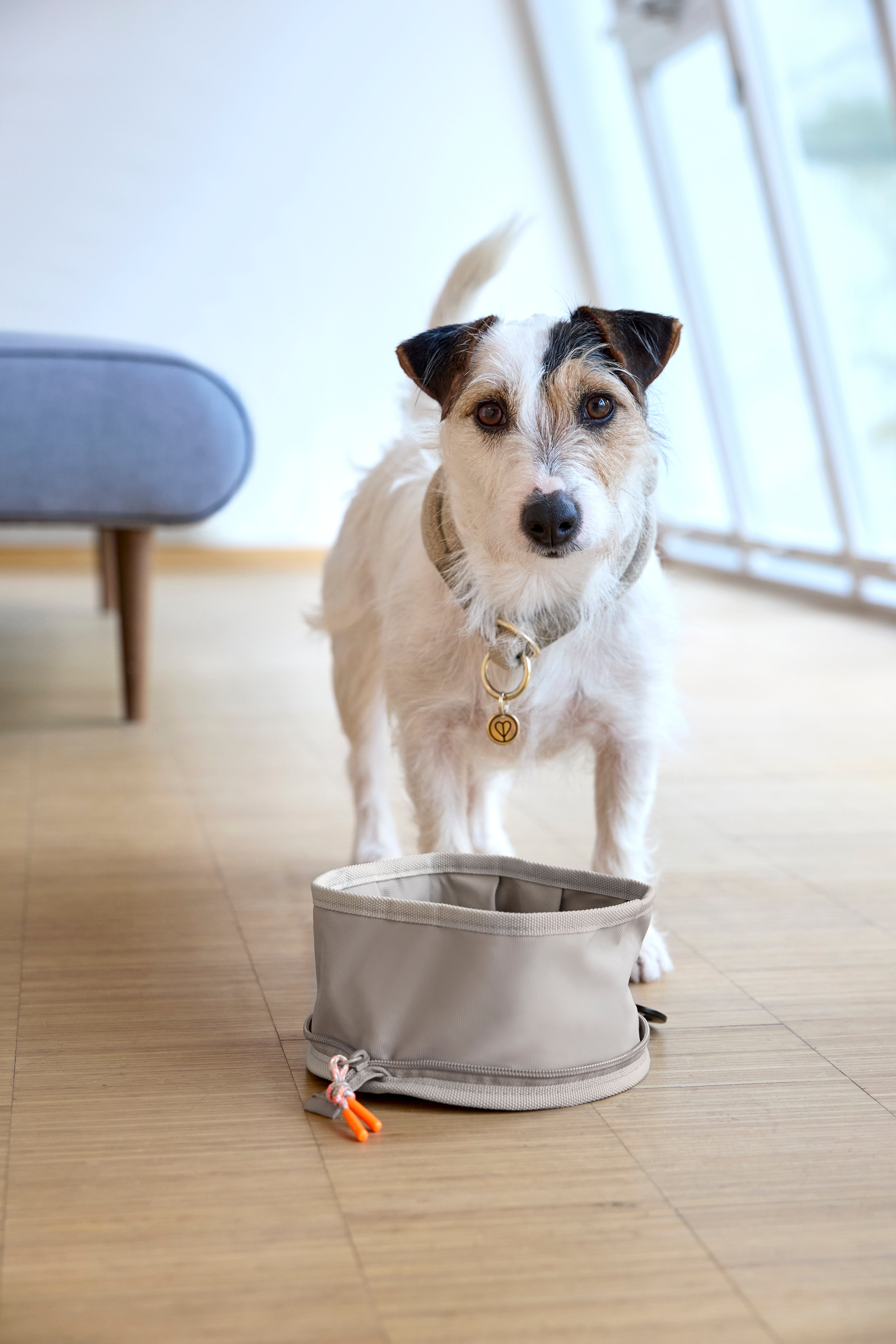 Dog Bowl To Go Tura Taupe Hundenapf zum Reisen
