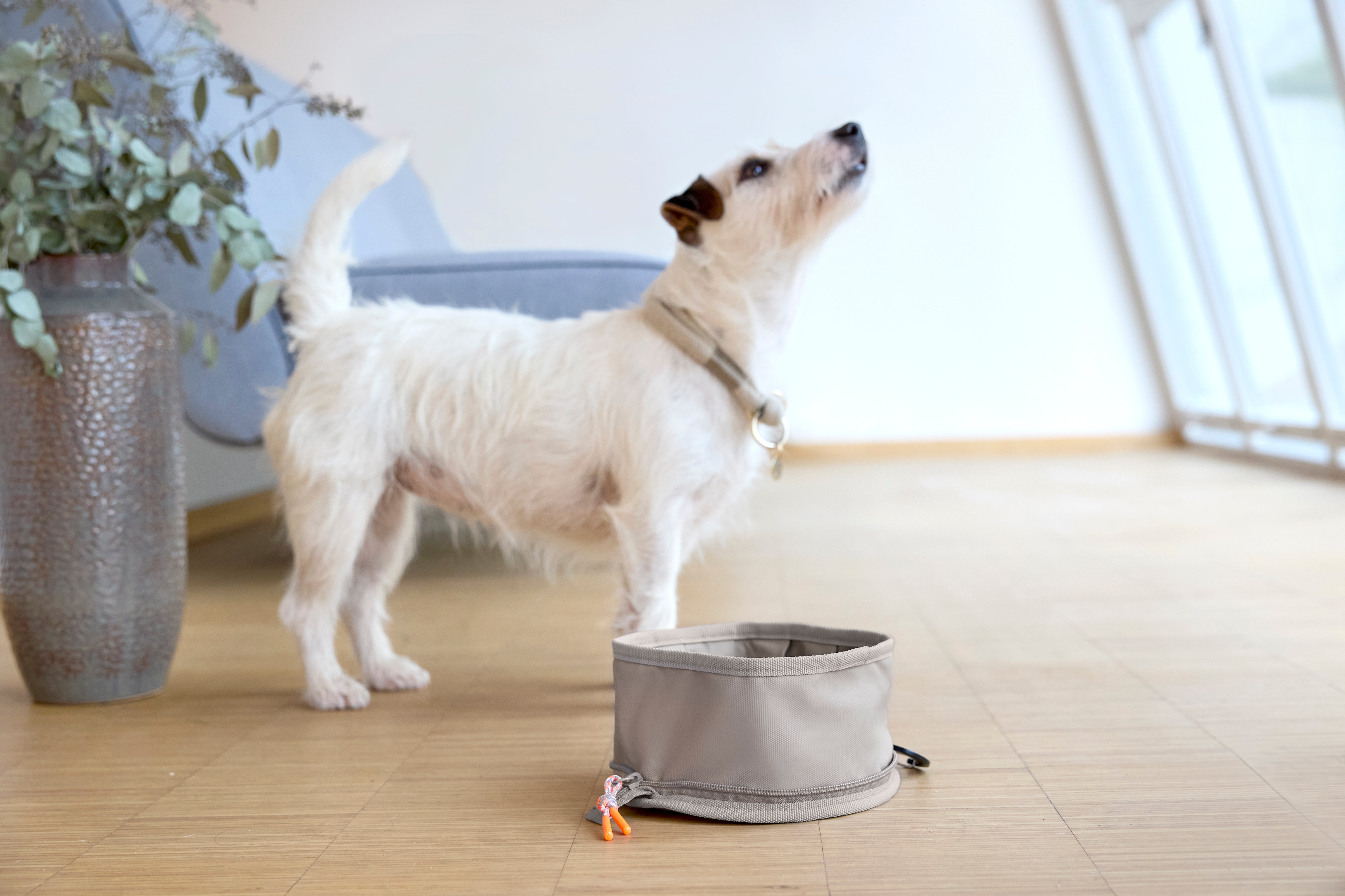 Dog Bowl To Go Tura Taupe Wasserreisenapf