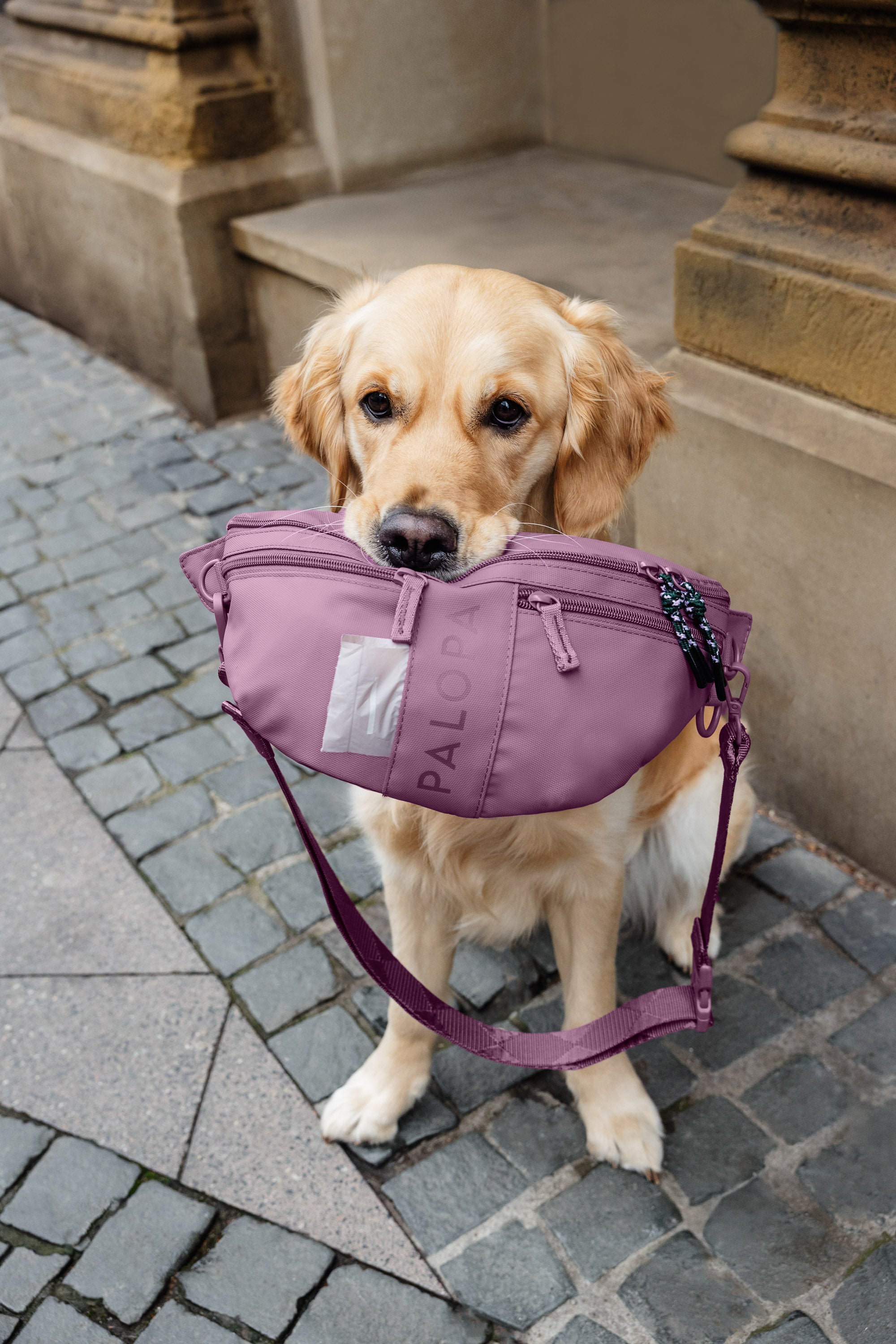 PALOPA Hunde Leckerlibeutel Emma Berry Gassitasche für Hunde Leckerlitasche Hundetraining