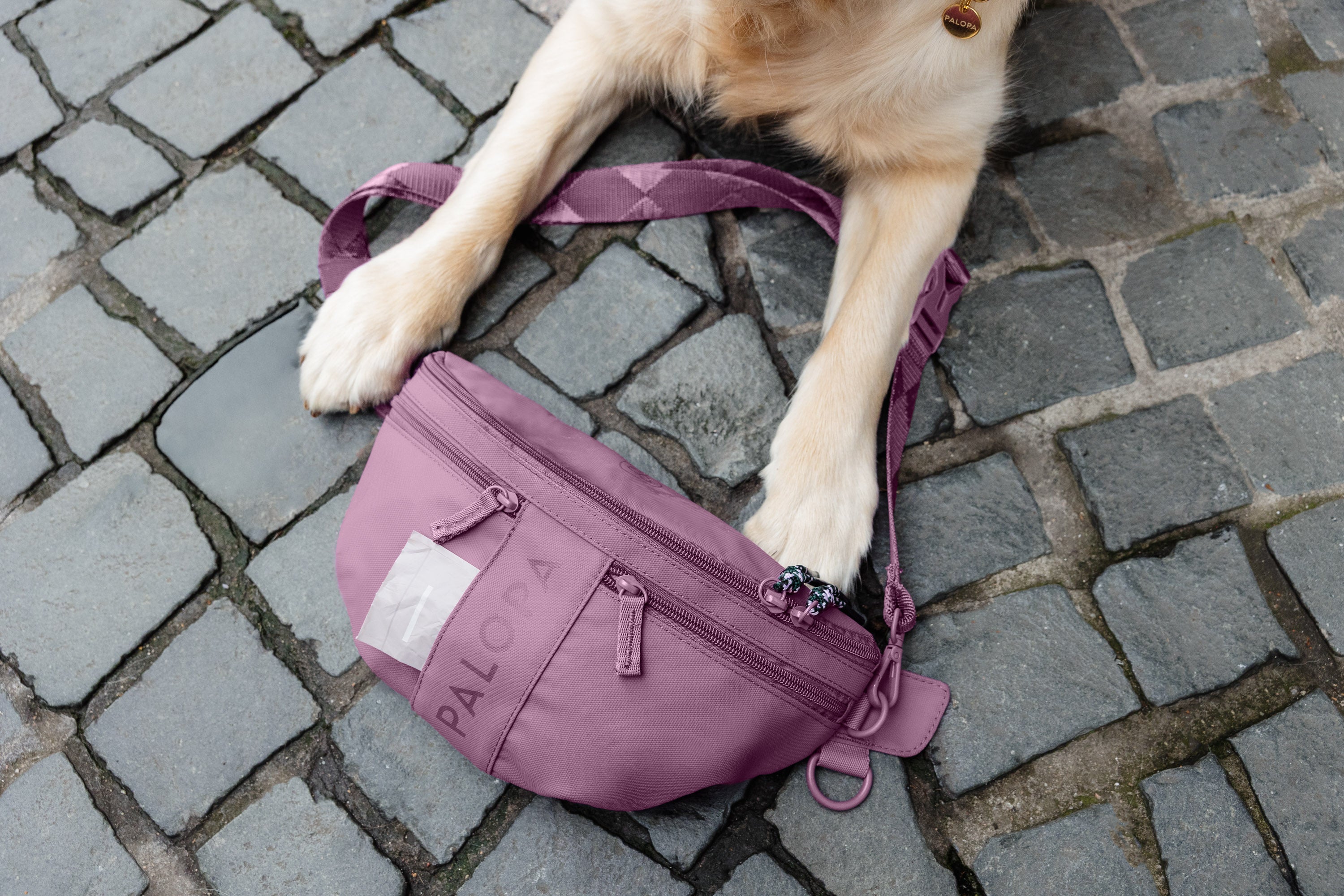PALOPA Hunde Leckerlibeutel Emma Berry Leckerlitasche zum Umhängen Crossbody Bag Gassitasche