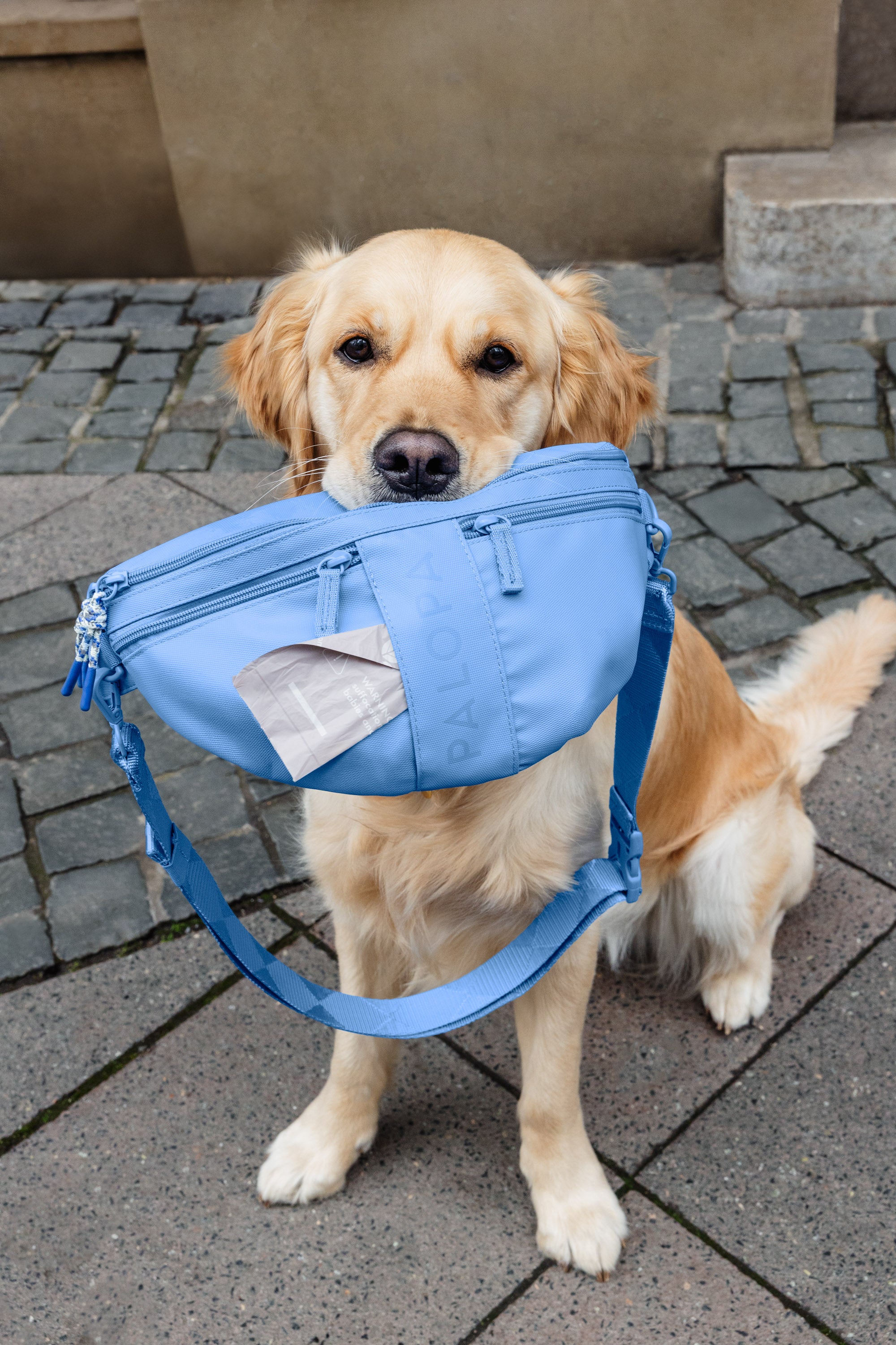 PALOPA Hunde Leckerlibeutel Emma Sky Blue Gassitasche zum Umhängen Crossbody wasserabweisend