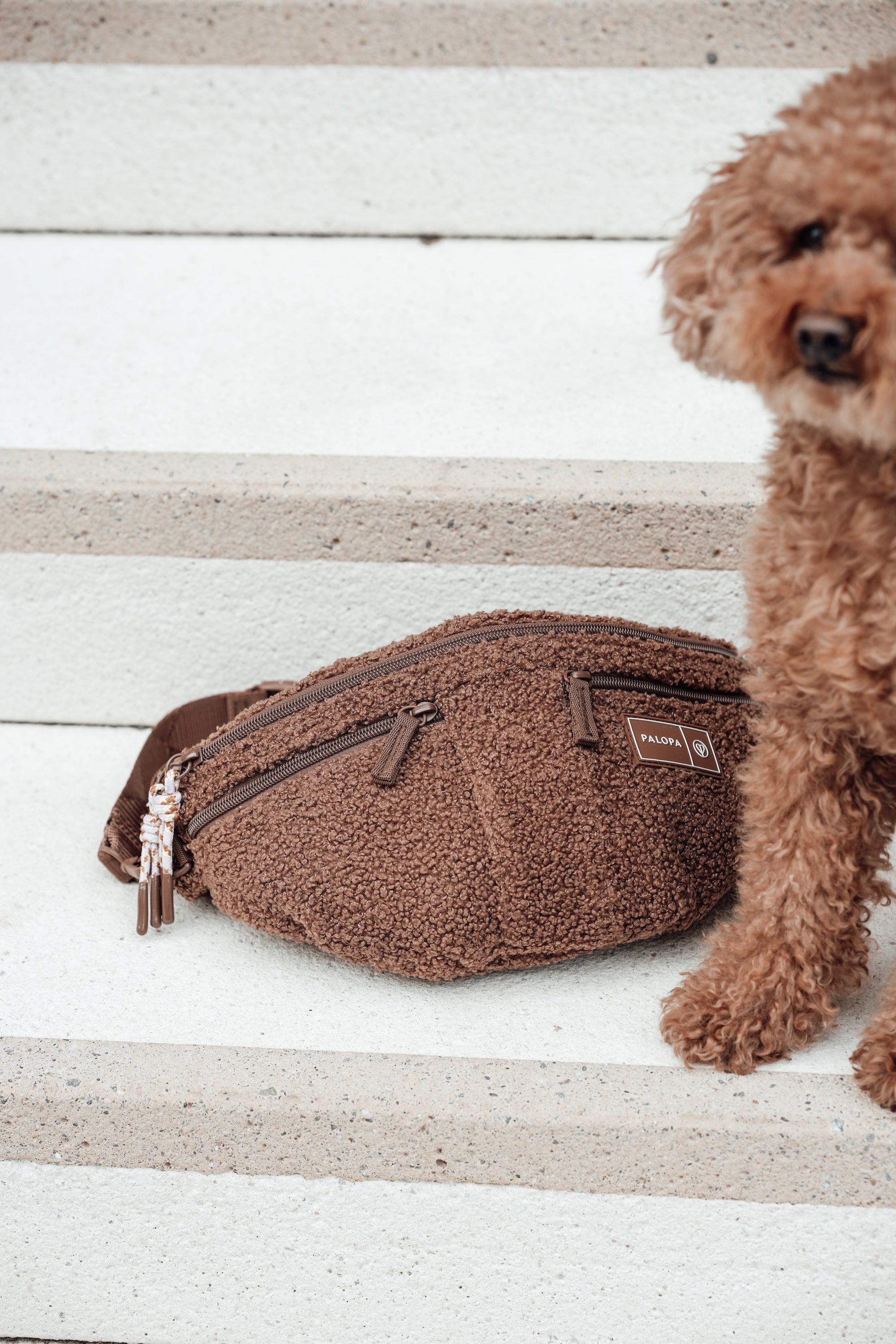 PALOPA Hunde Leckerlibeutel Emma Teddy Fleece Gassitasche Boucle