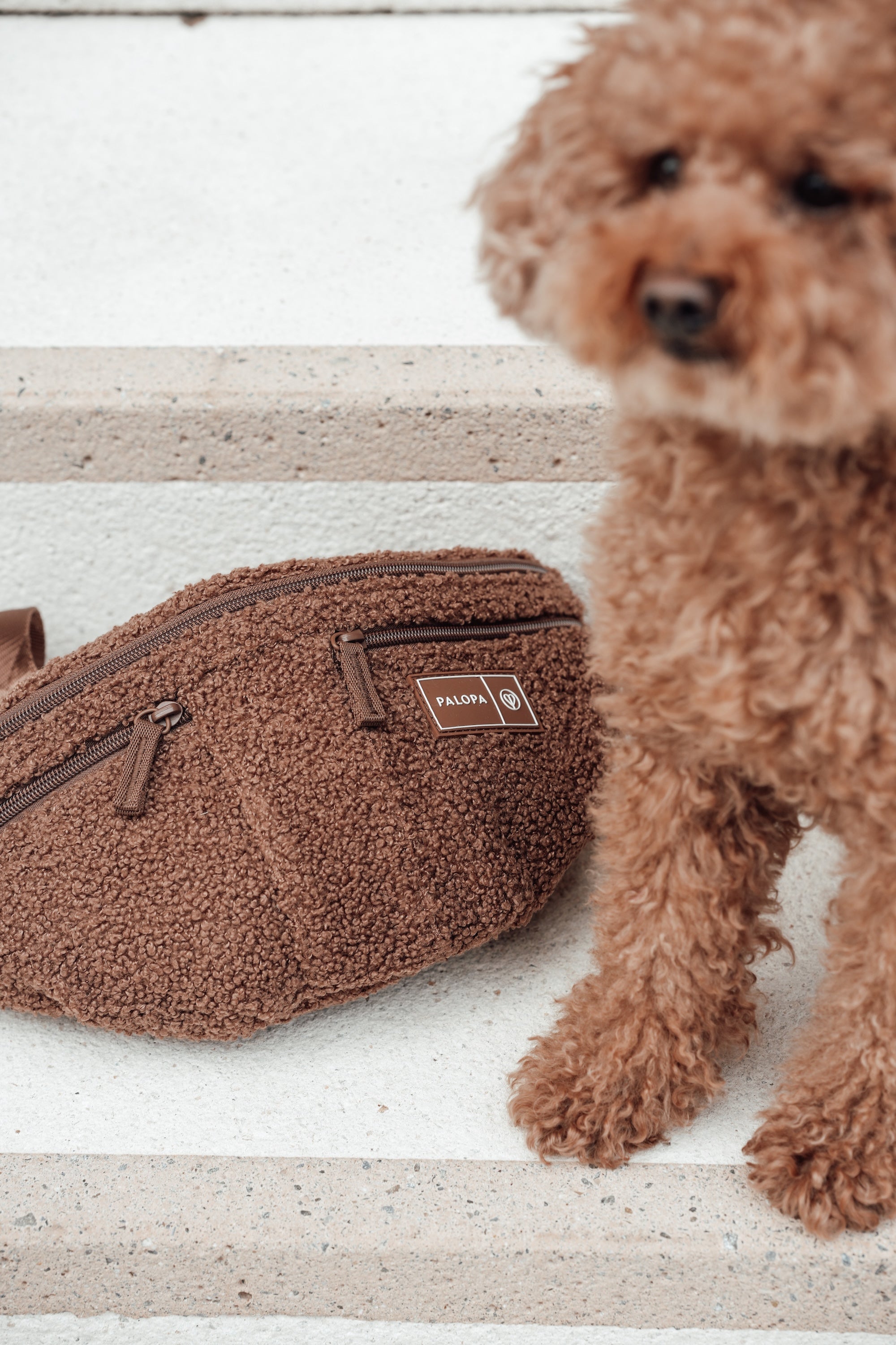 PALOPA Hunde Leckerlibeutel Emma Teddy Fleece Gassitasche für unterwegs