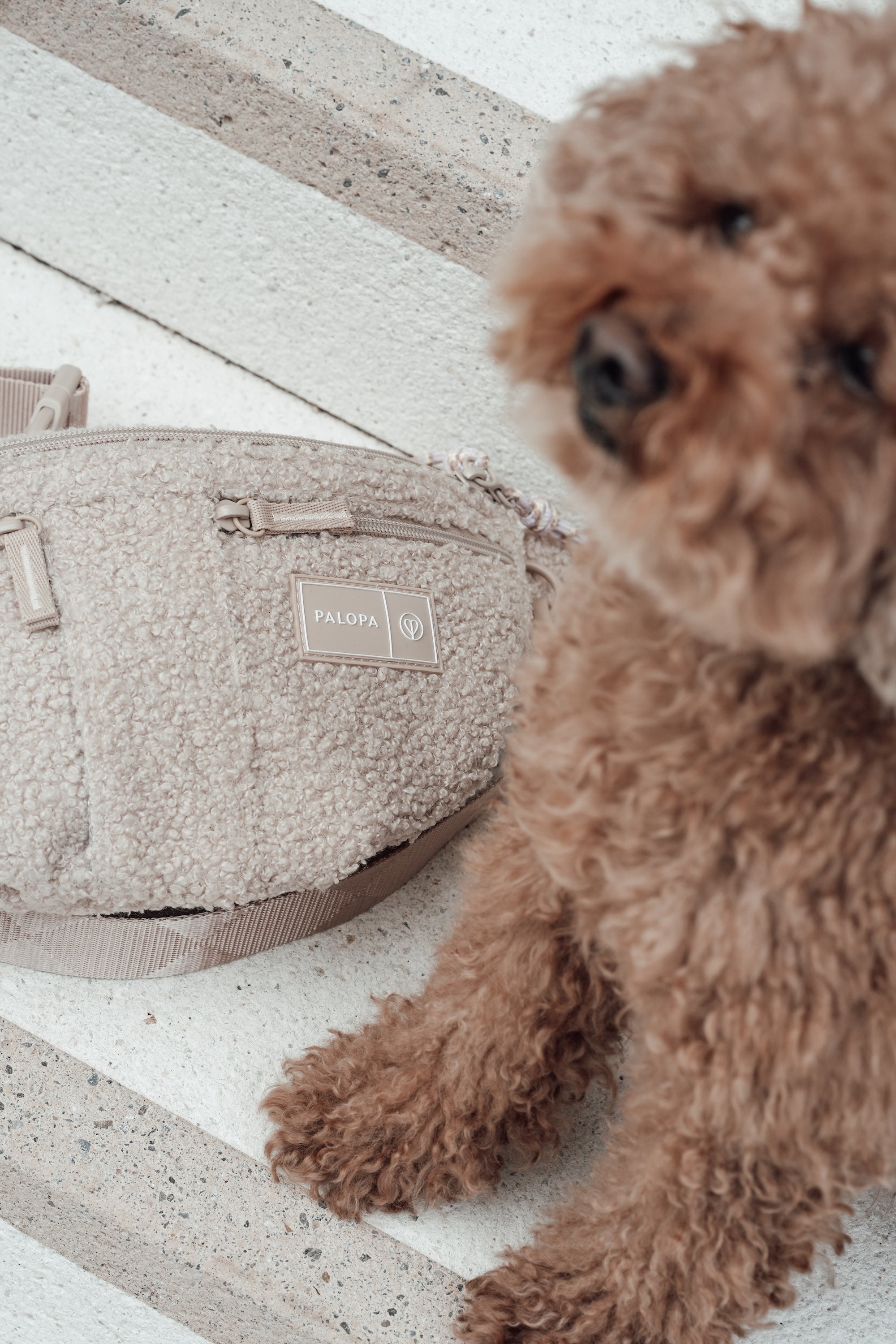 PALOPA Hunde Leckerlibeutel Emma Teddy Fleece Leckerlitasche Hundetraining