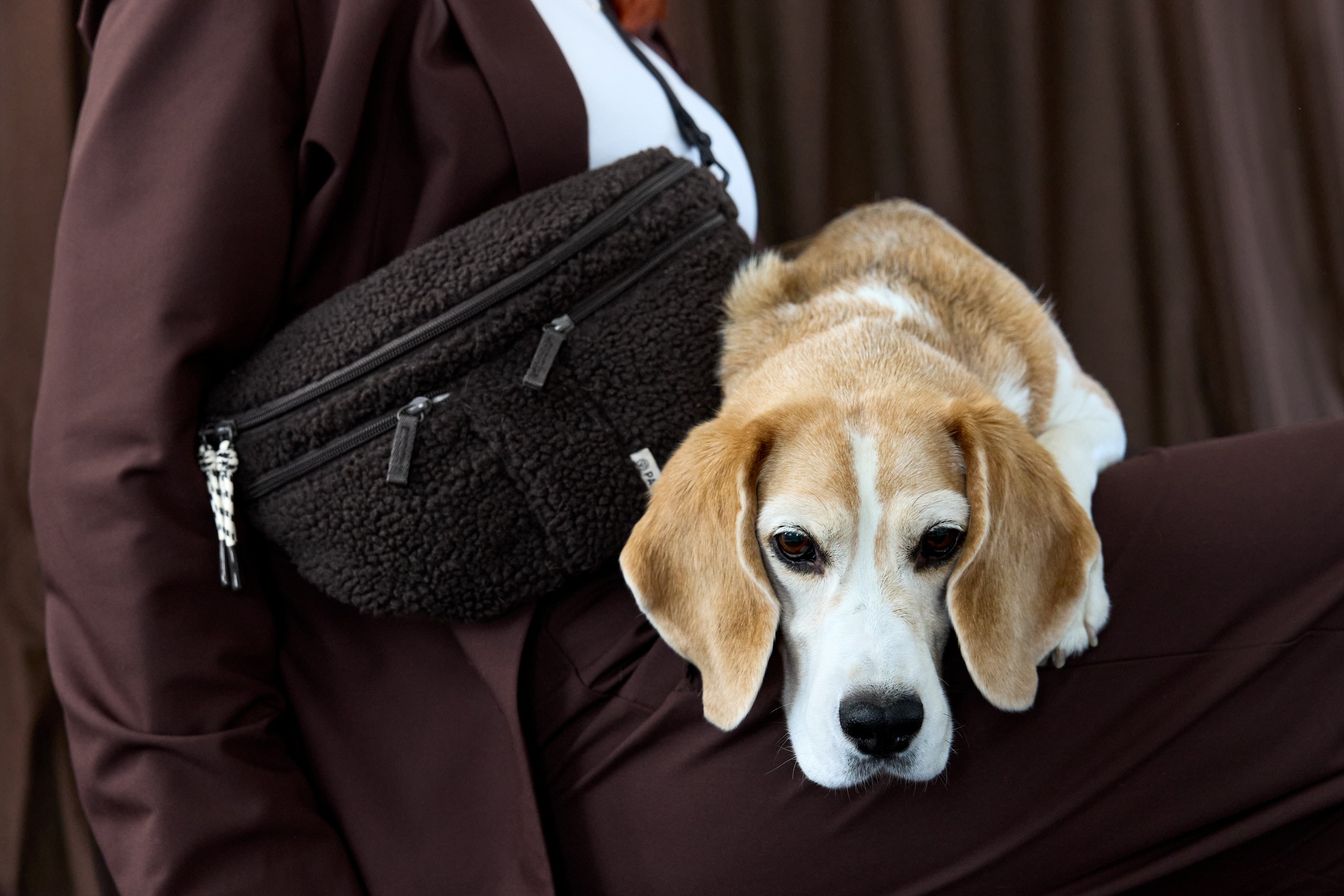 PALOPA Hunde Leckerlibeutel Emma Teddy-Fleece Brownie Hundetasche Hundetraining