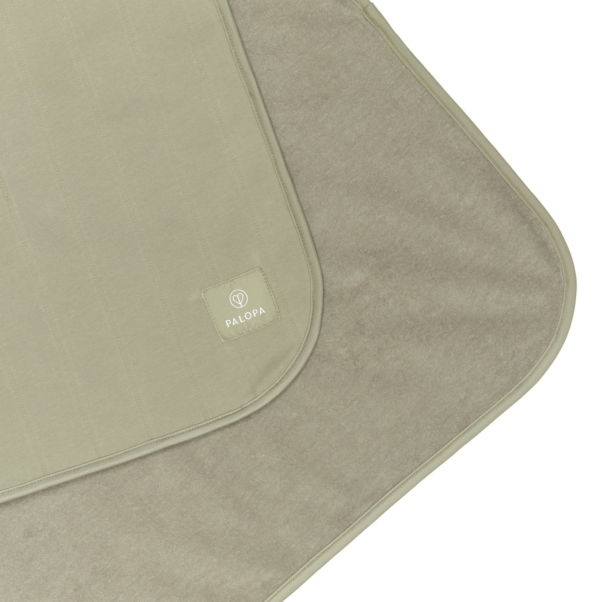 PALOPA Hunde Schmutzfangmatte Benti Grün Schmutzfangmatte Schondecke