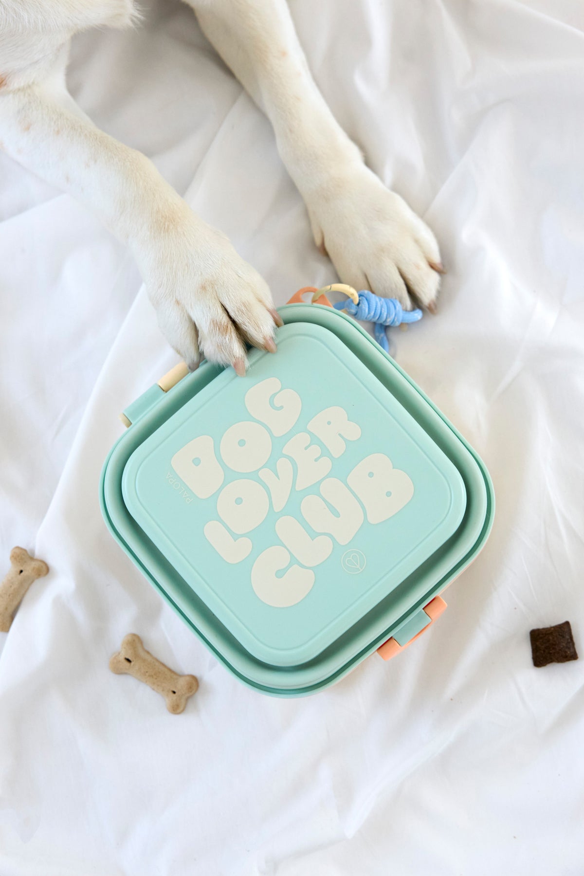 PALOPA Hunde Snack Box Dobo Blue Haze Futternapf Hund