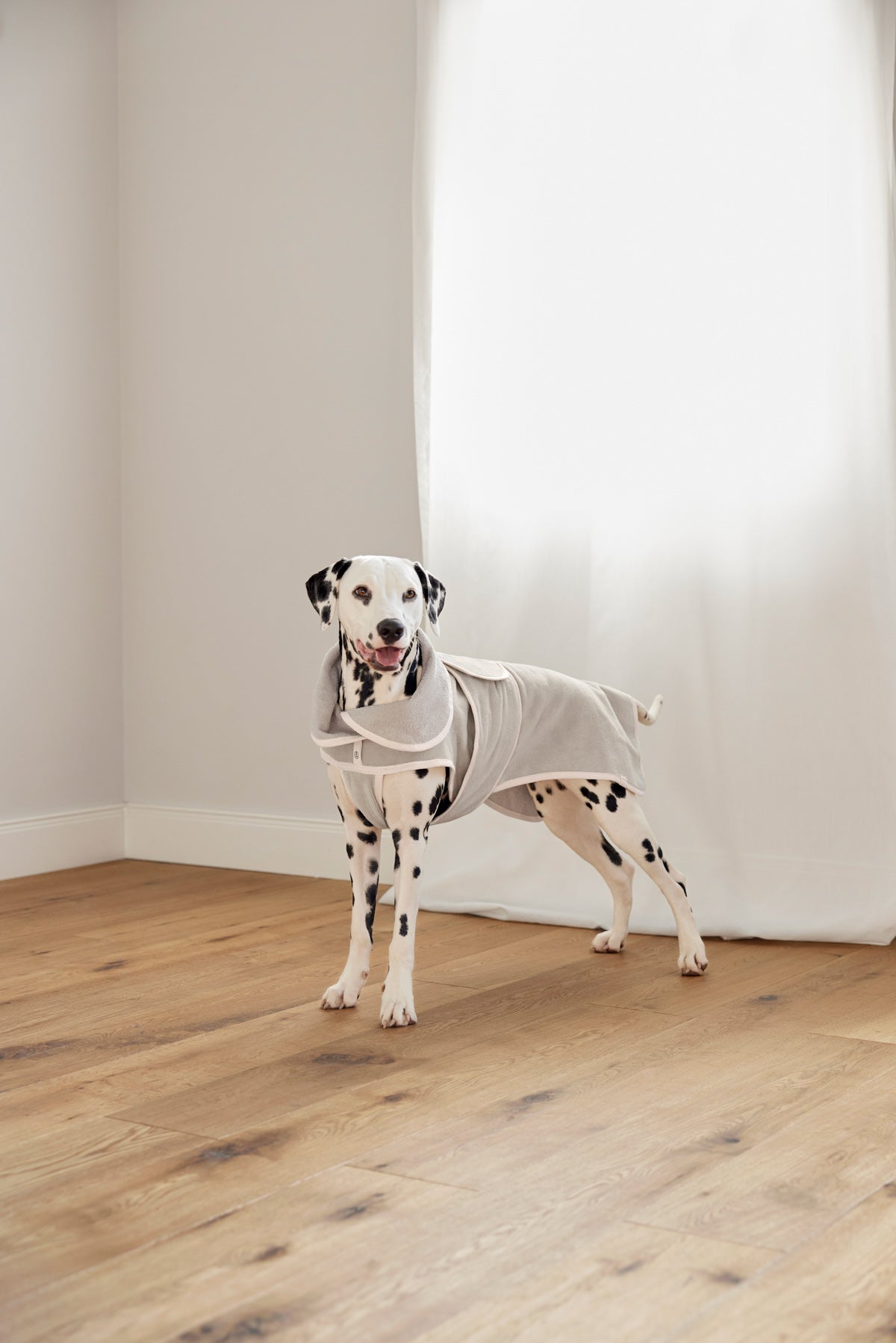 PALOPA Hundebademantel Robi Beige Bademantel für Hunde