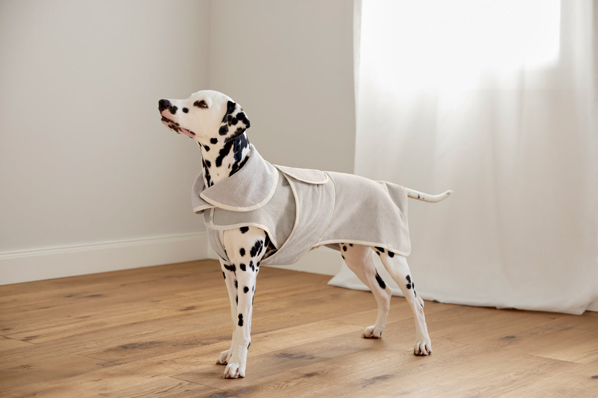 PALOPA Hundebademantel Robi Beige Bademantel für kleine und große Hunde