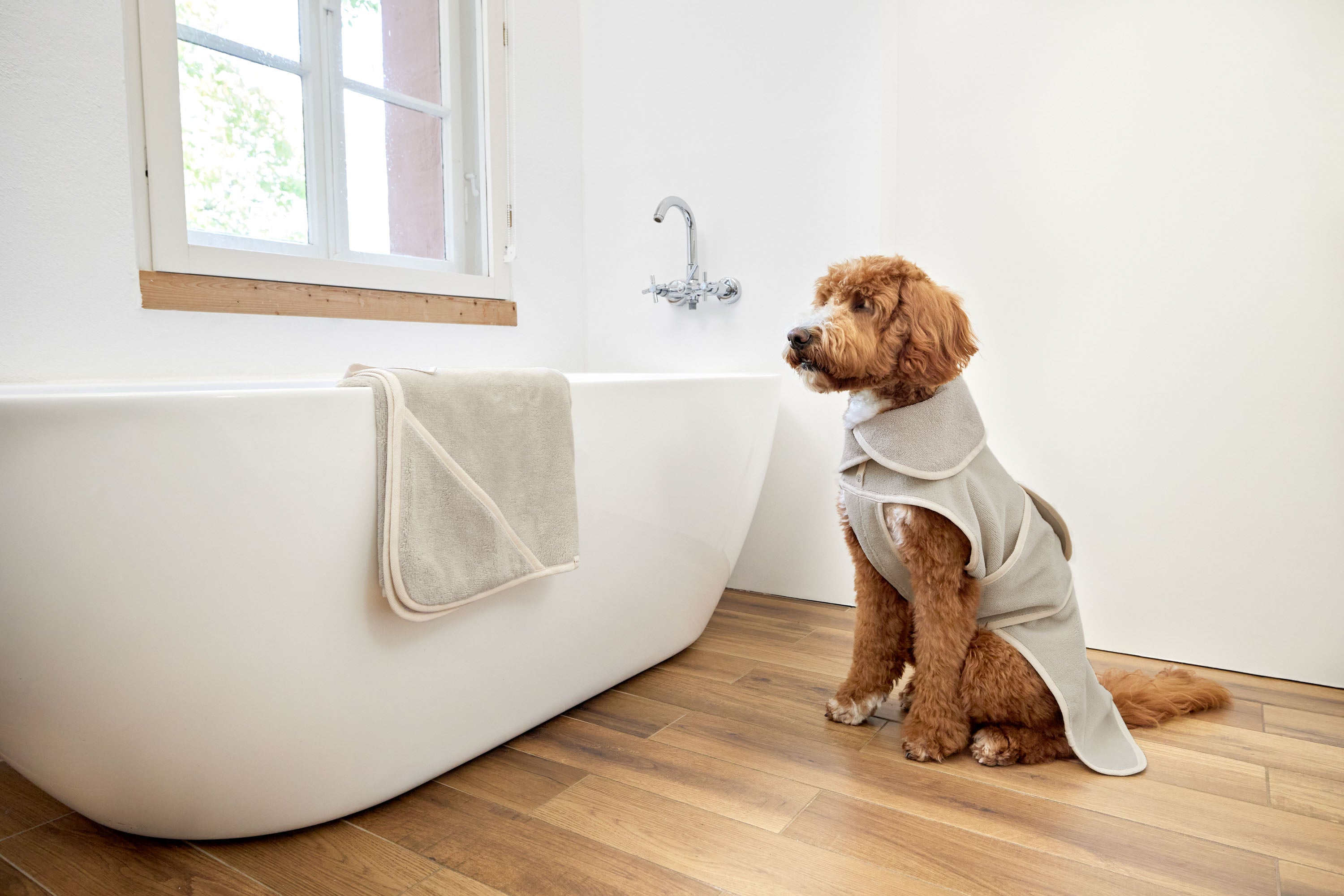 PALOPA Hundebademantel Robi Beige Hundebademantel beige