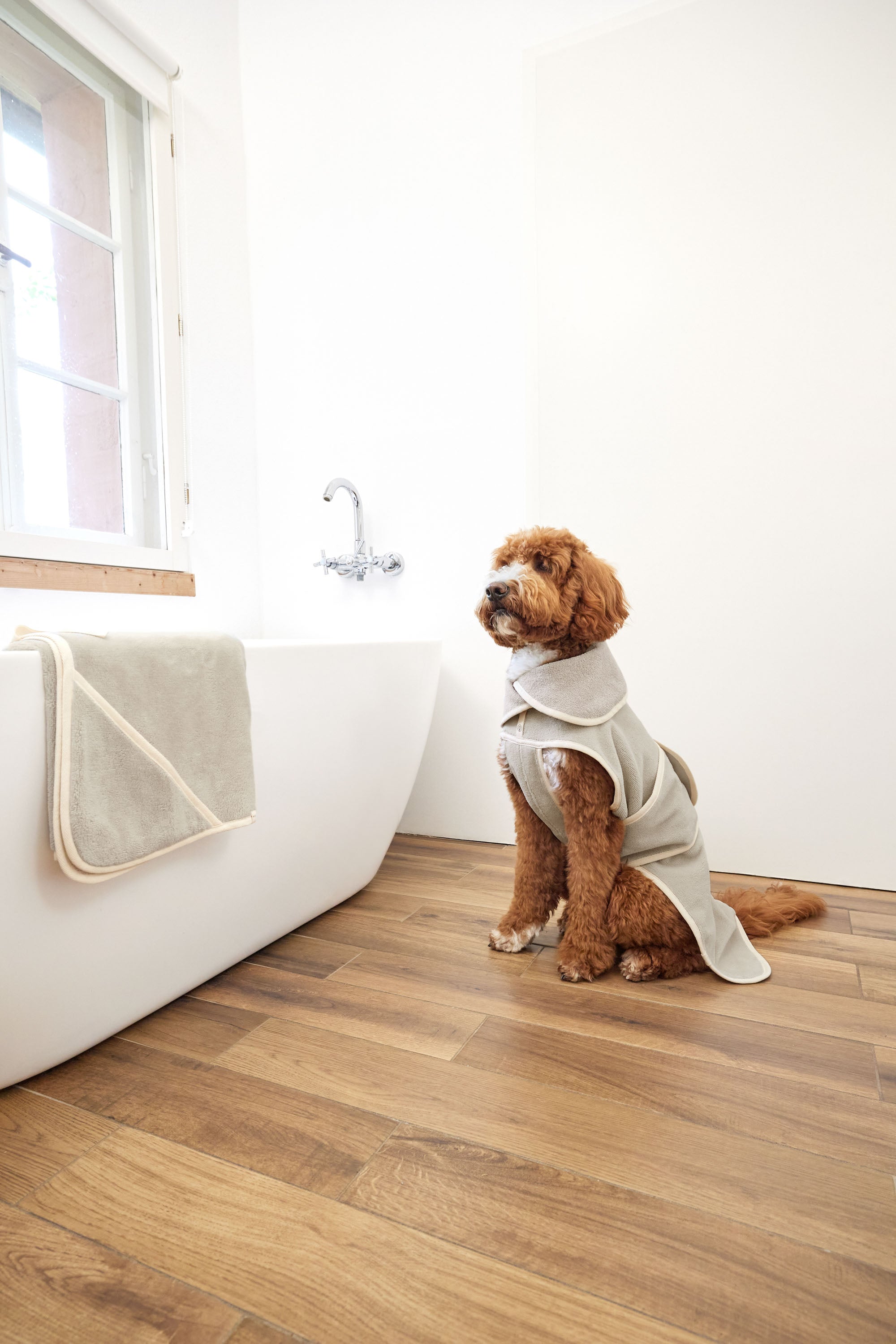PALOPA Hundebademantel Robi Beige Hundebademantel mit Kragen