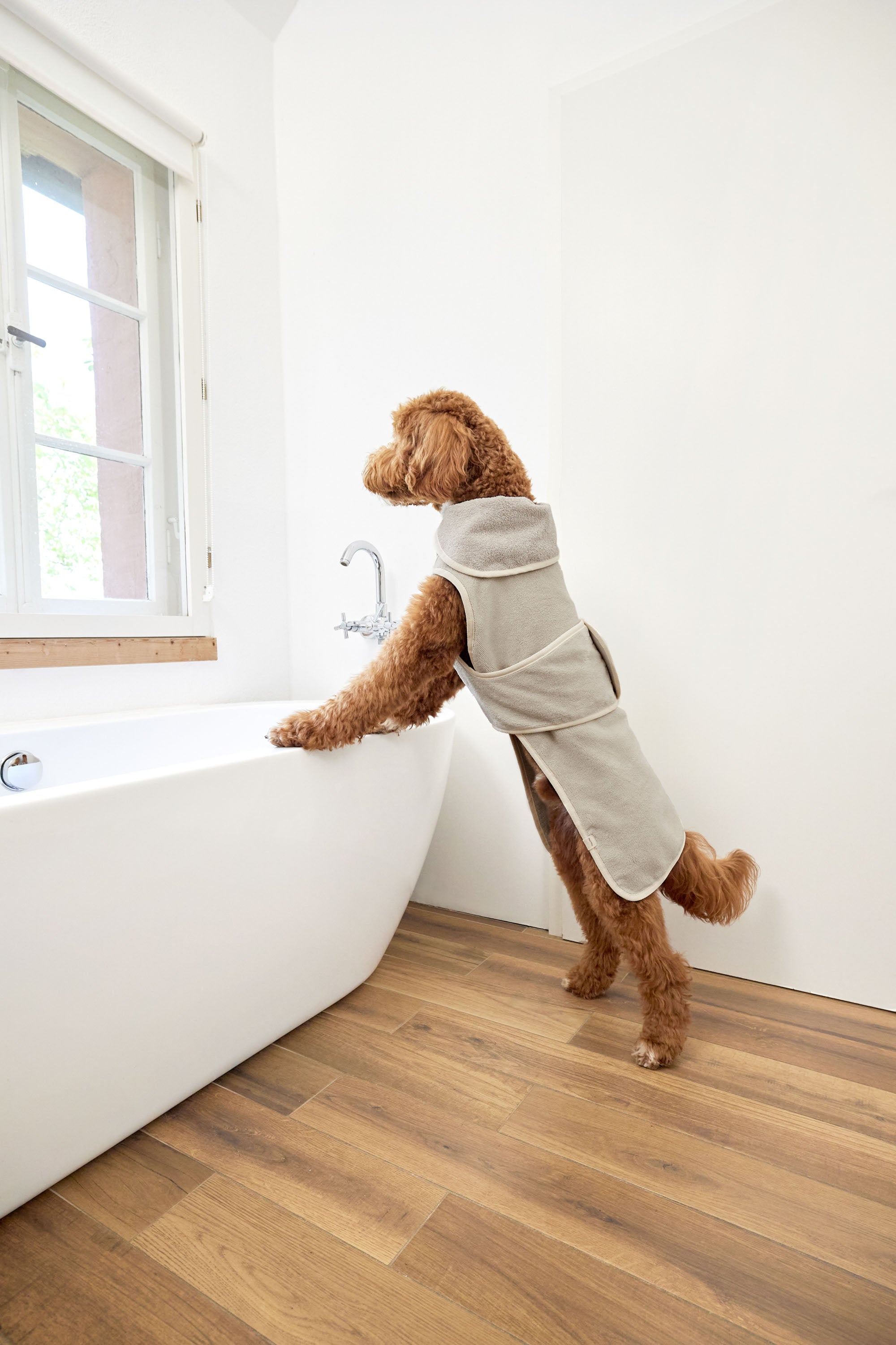 PALOPA Hundebademantel Robi Beige Hundebademantel verstellbar