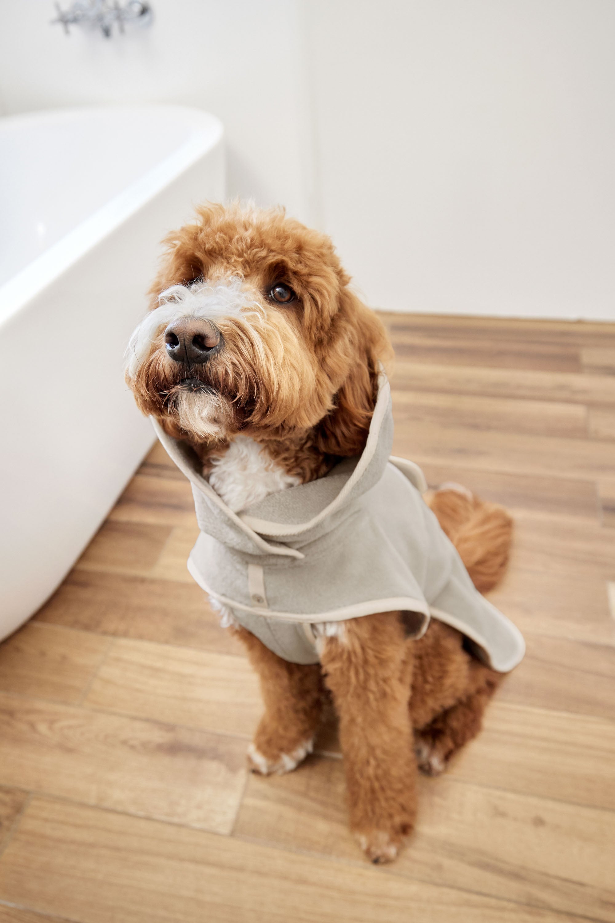 PALOPA Hundebademantel Robi Beige moderner Hundebademantel