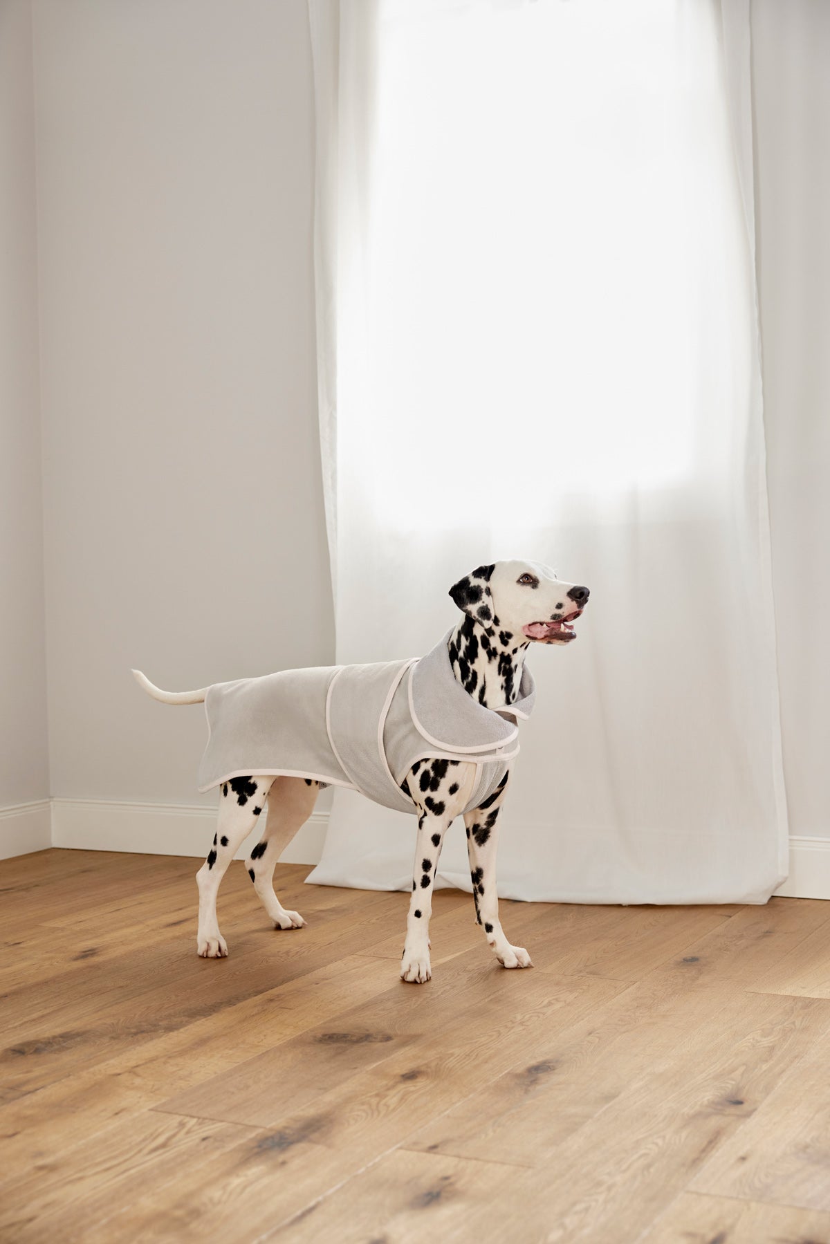 PALOPA Hundebademantel Robi Beige nachhaltiger Bademantel für Hunde