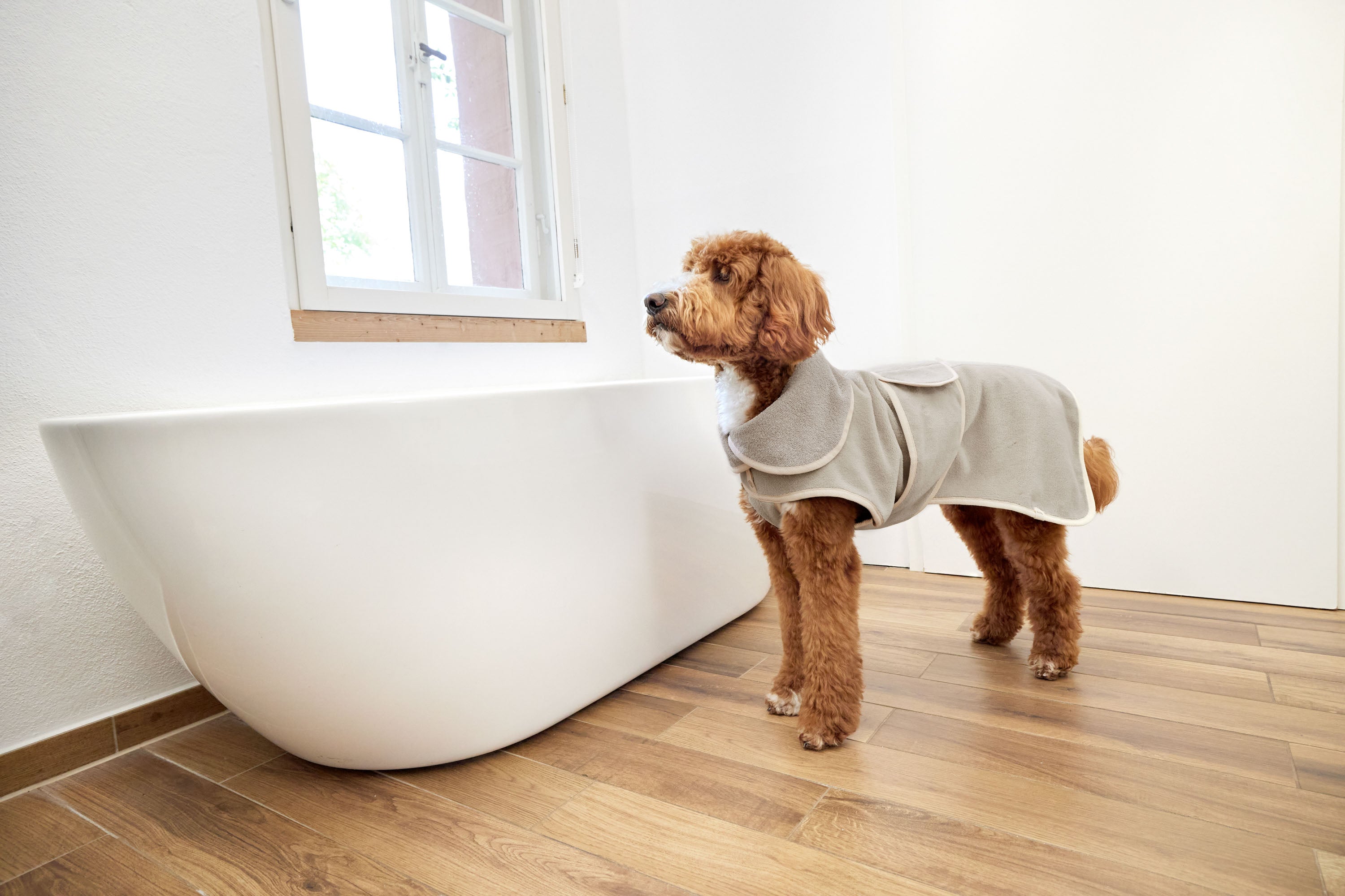 PALOPA Hundebademantel Robi Beige Hundebademantel beige