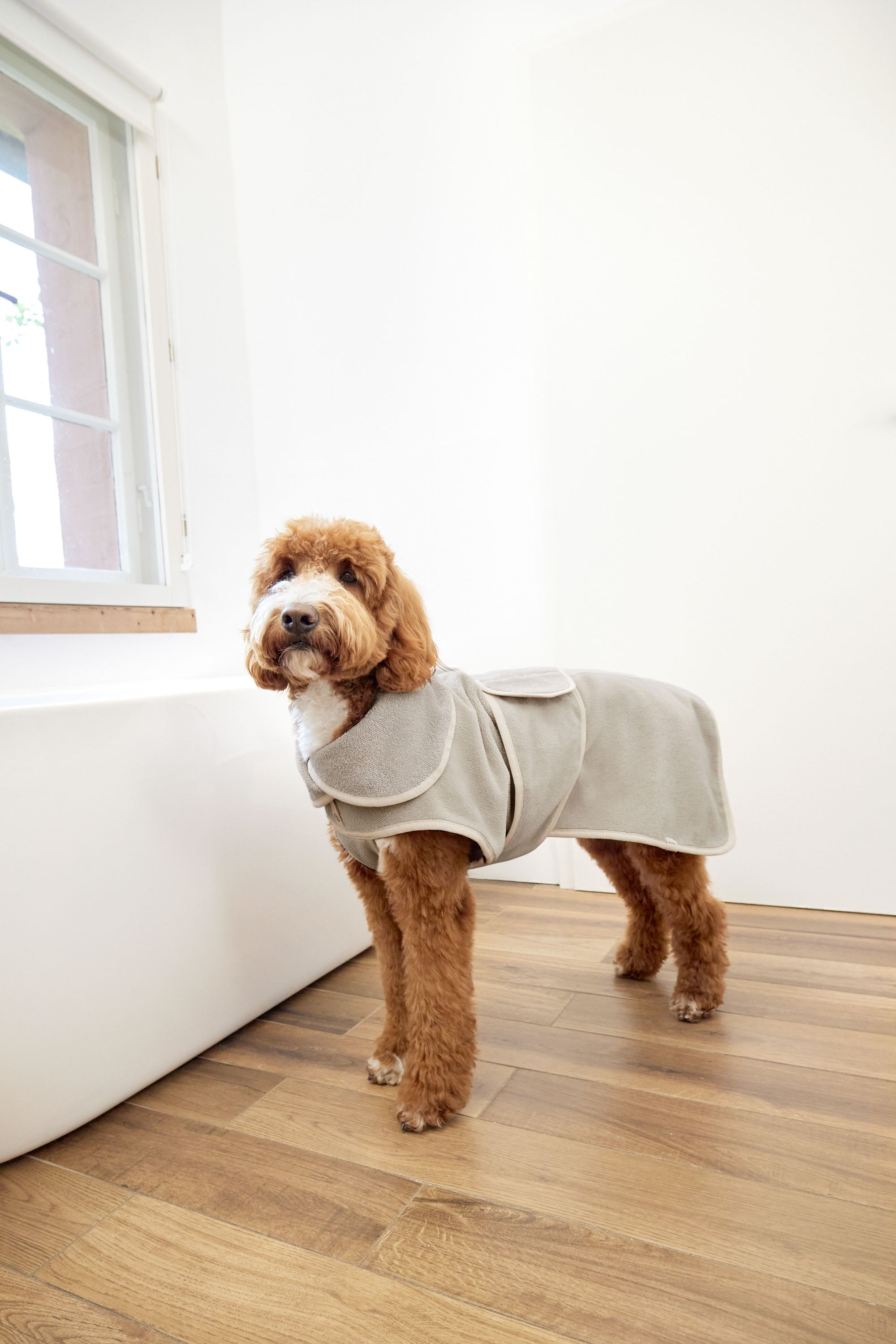PALOPA Hundebademantel Robi Beige umweltschonender Hundebademantel beige