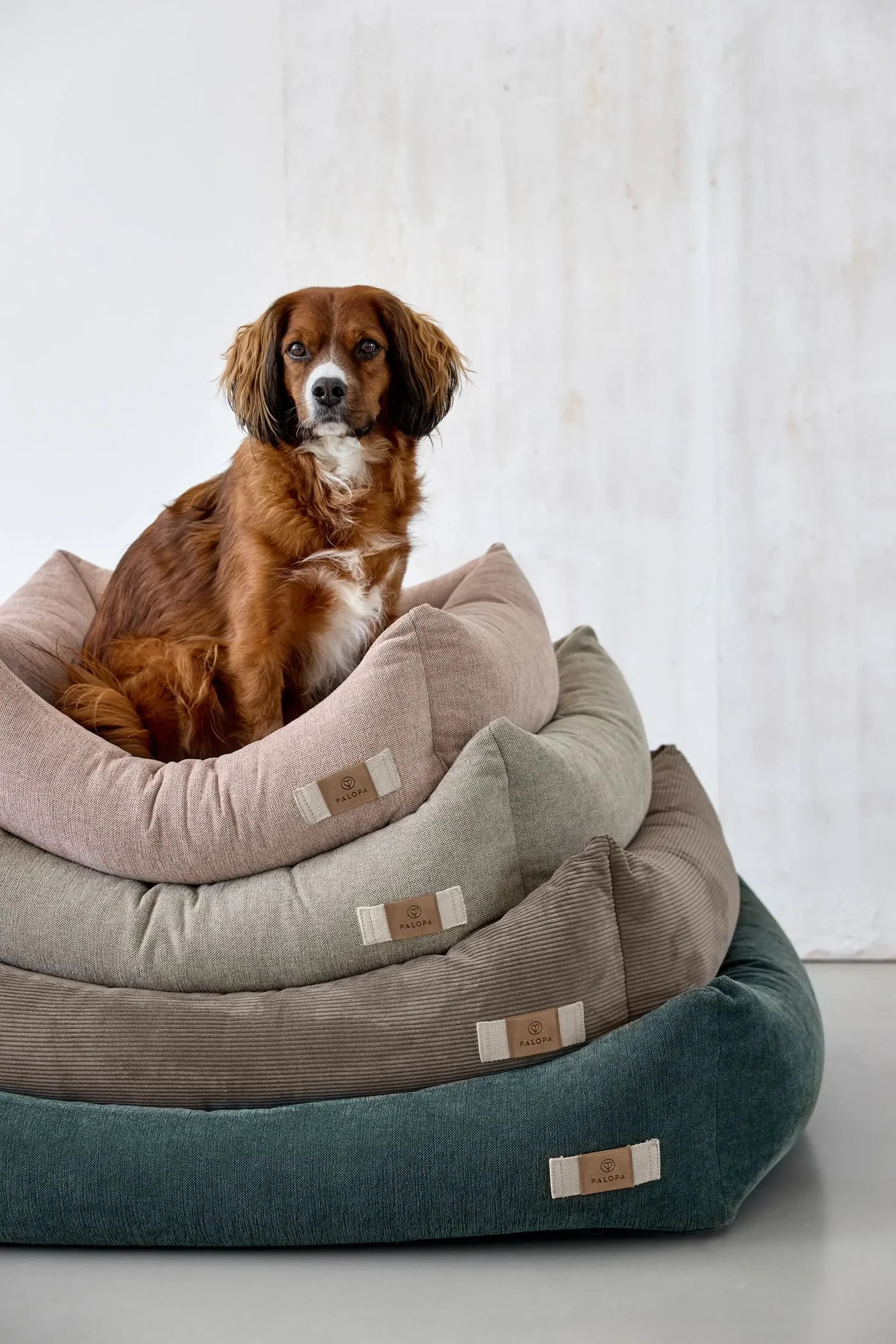 PALOPA Hundebett Baumwolle Fred Grau Ergonomisches Hundekissen