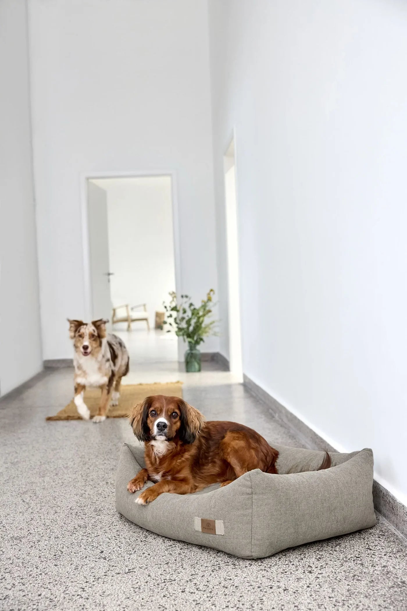 PALOPA Hundebett Baumwolle Fred Grau Hundebett aus Baumwolle