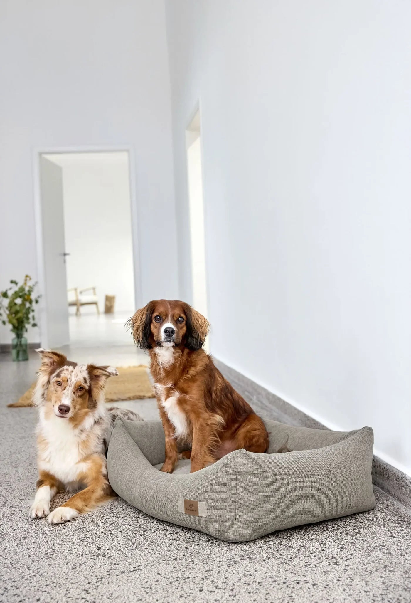 PALOPA Hundebett Baumwolle Fred Grau Hundebett formstabil