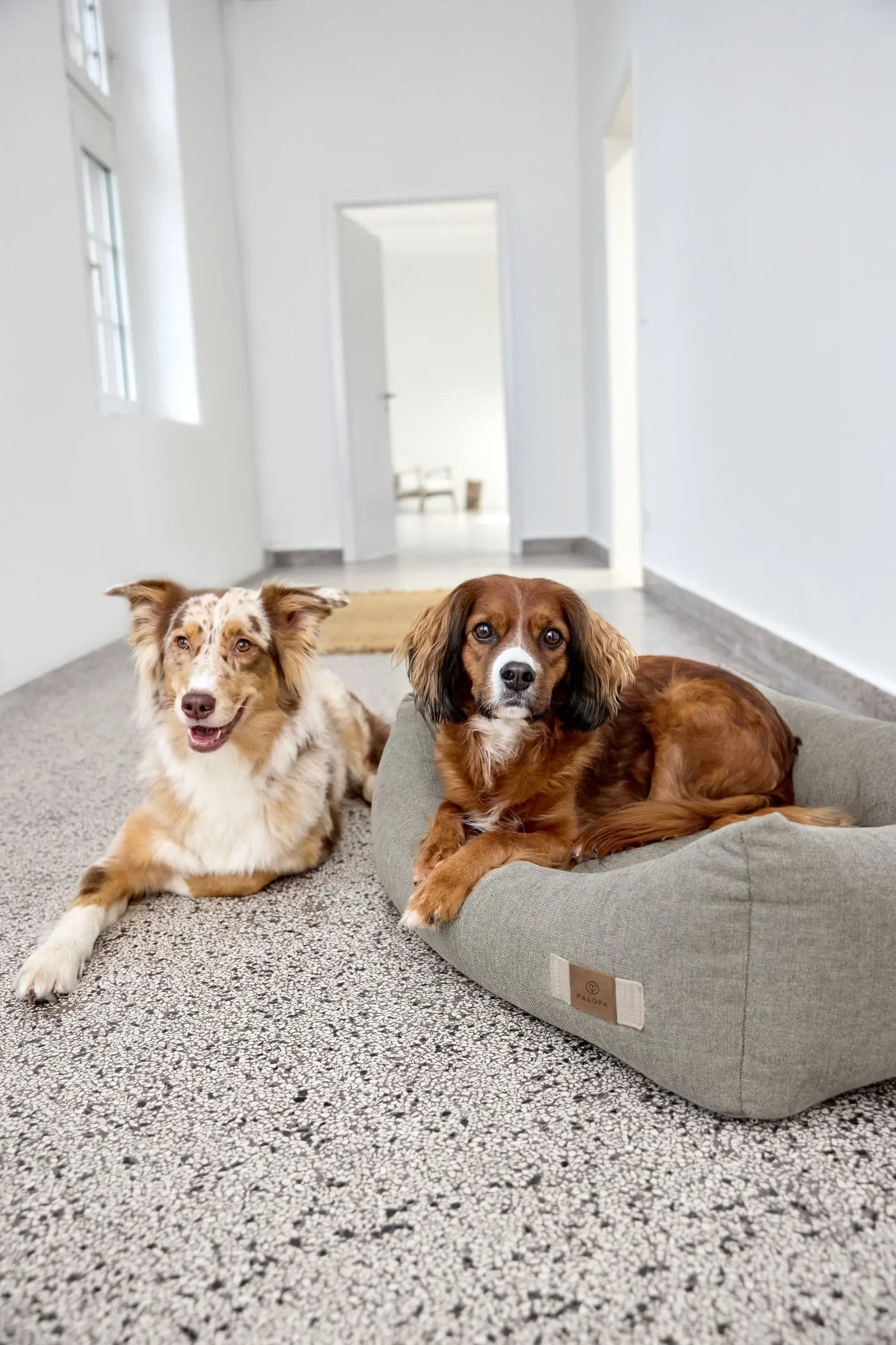 PALOPA Hundebett Baumwolle Fred Grau Hundebett waschbar