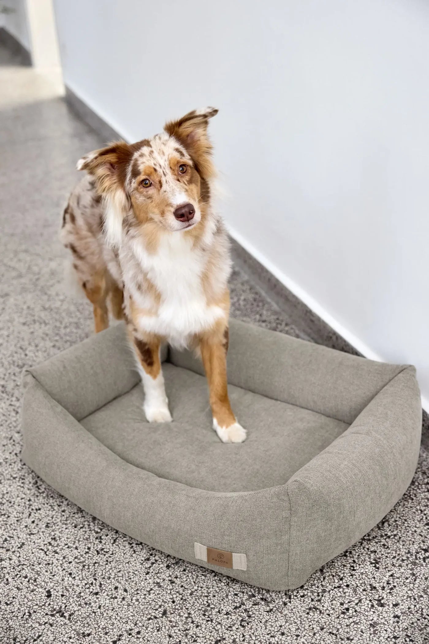 PALOPA Hundebett Baumwolle Fred Grau Hundebett wechselbarer Bezug