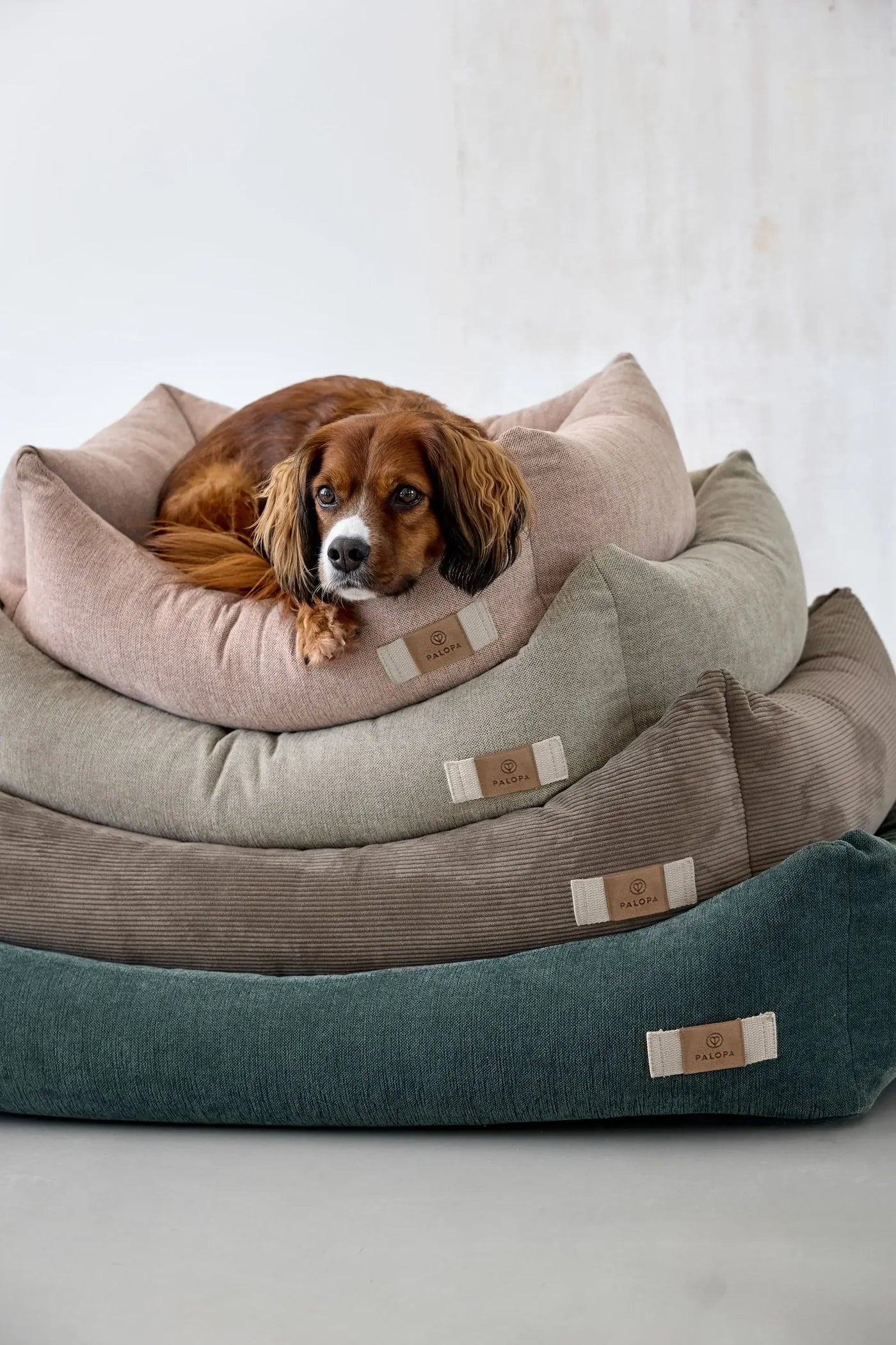 PALOPA Hundebett Baumwolle Fred Grau Hundekissen waschbar