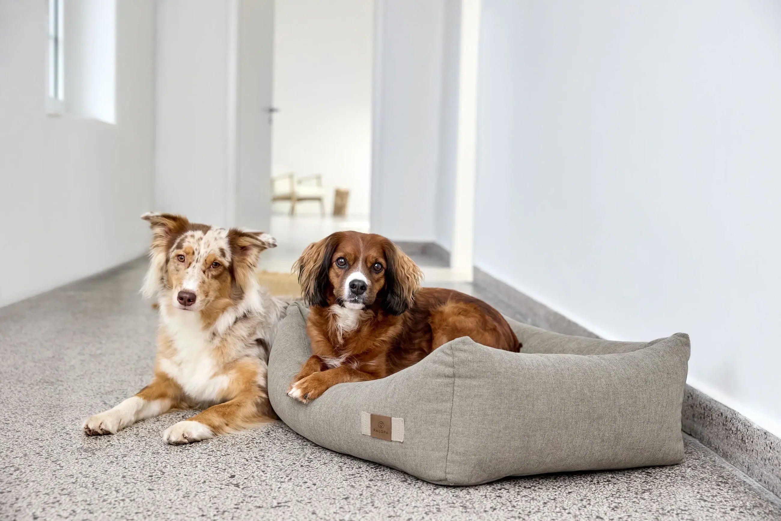 PALOPA Hundebett Baumwolle Fred Grau Hundekissen wechselbarer Bezug