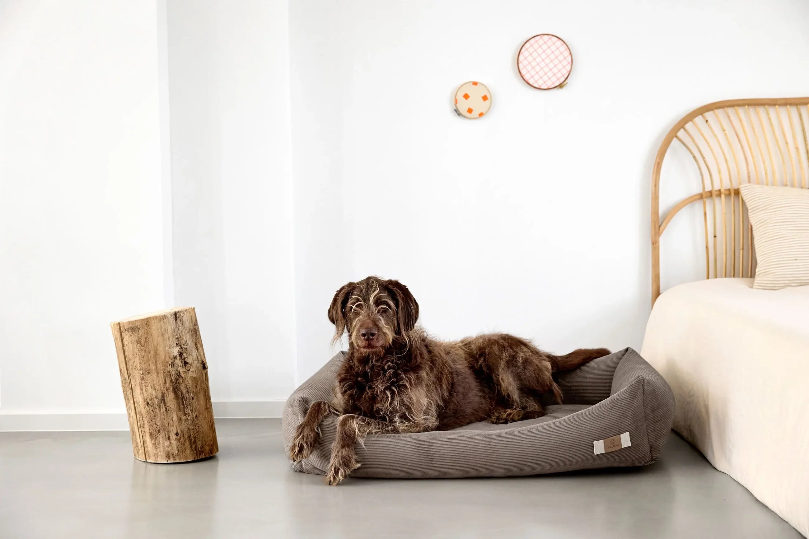 PALOPA Hundebett Cord Fred Braun Hundebett ergonomisch